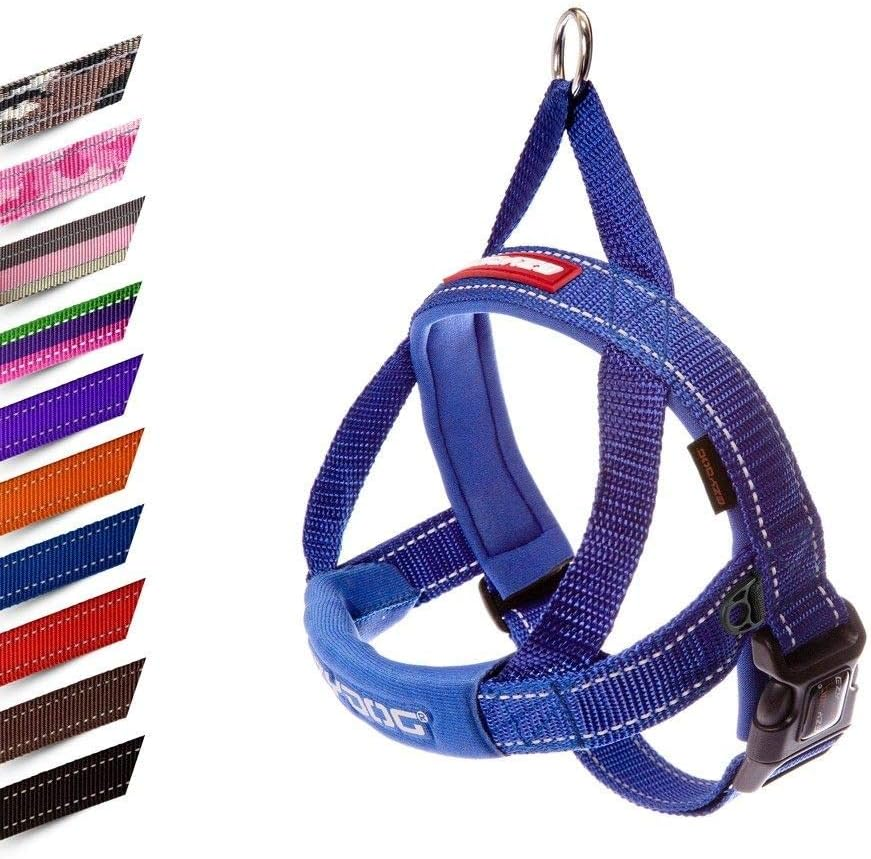 Ezydog Quick Fit Dog Harness - Easy to Fit Walking Harnesses for Small, Medium and Large Dogs - Neoprene Sleeve, Accessory D-Ring, Reflective (XS, Blue)