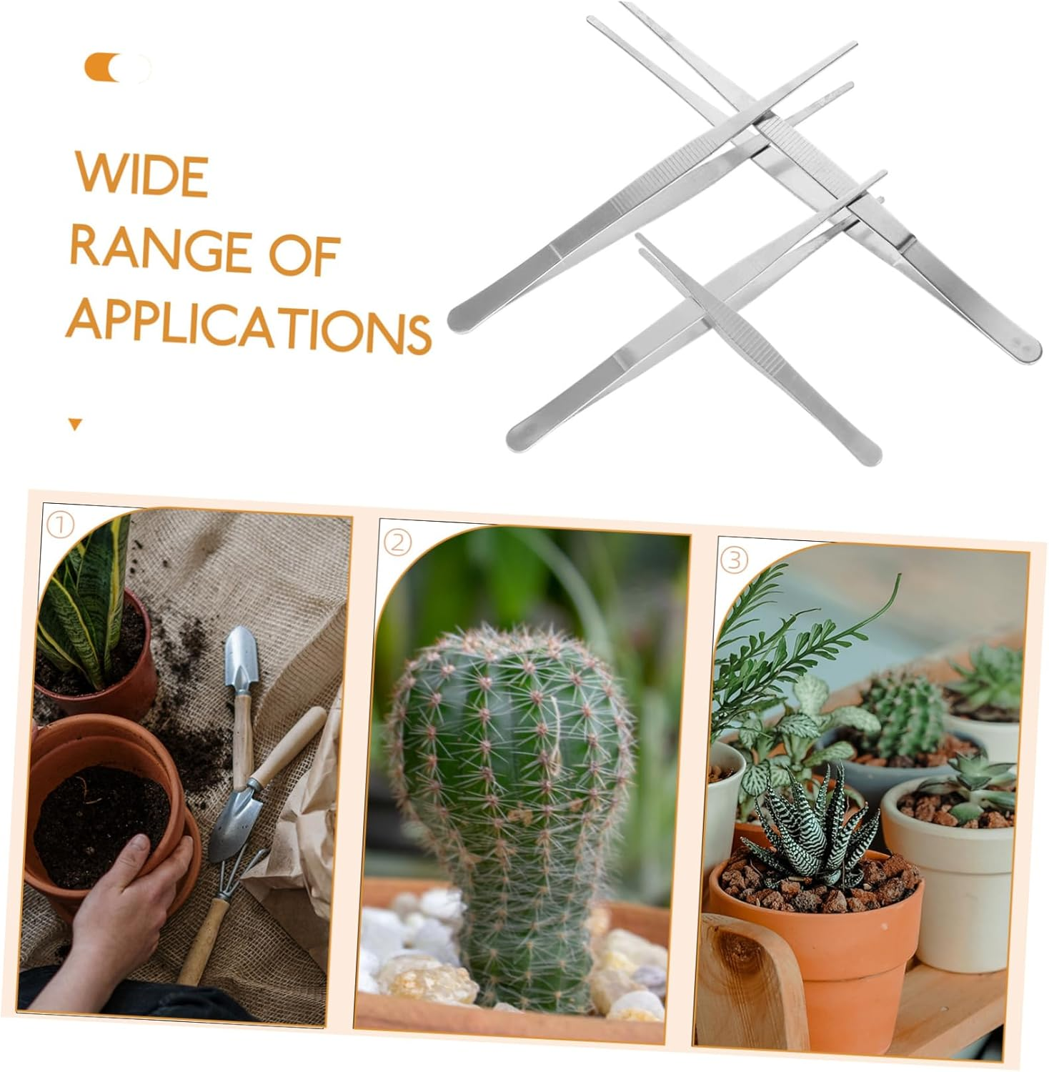 FONDOTIN 4Pcs Stainless Steel Succulent Tweezers Long Handled Gardening Tools for Planting Weeding in Garden Tweezers