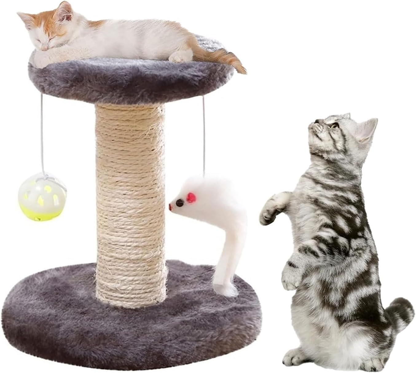 Cat Scratching Post with Plush Platform, Scratching Post with Sisal, Scratching Post, Cat Scratching Post, Suitable for Small Cats image number 5