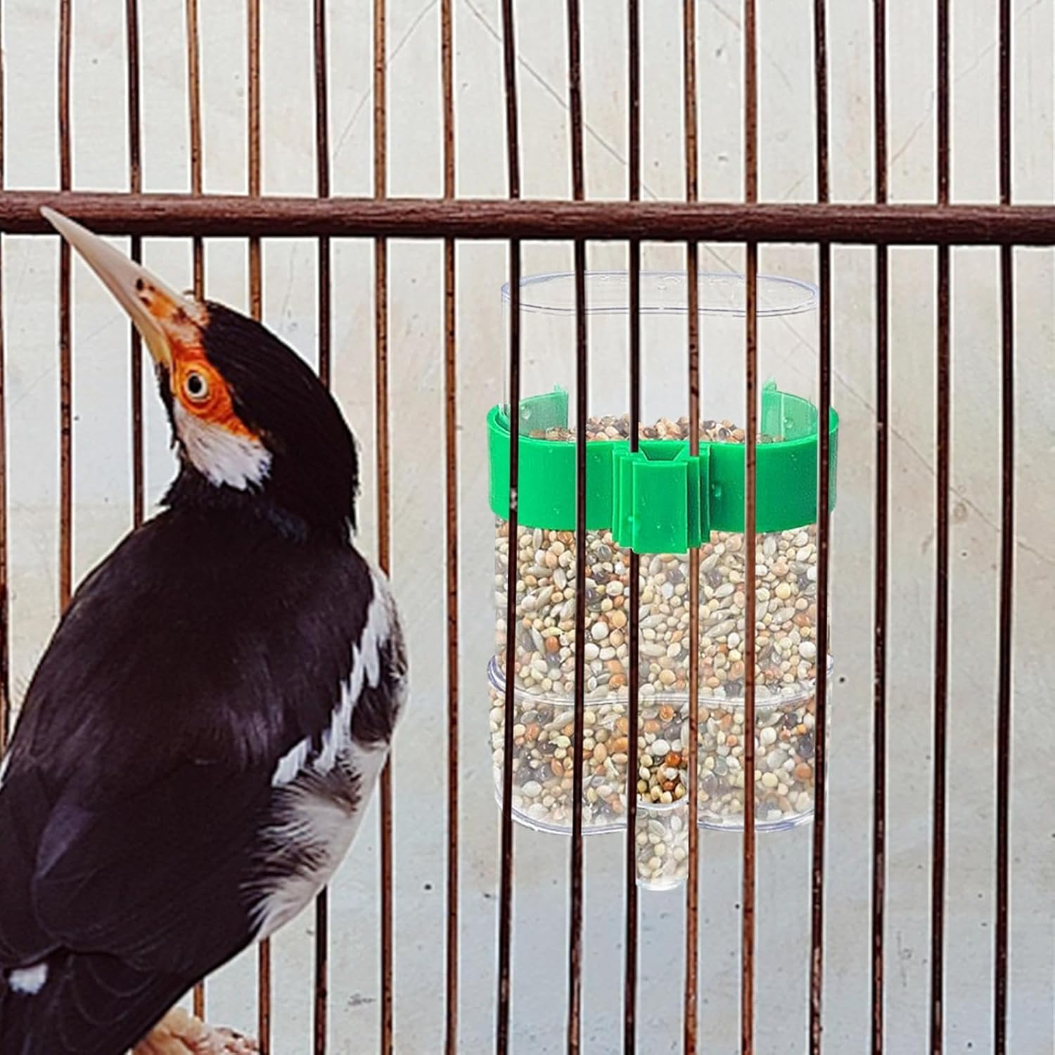 Generic No Mess Bird Feeder, Automatic Water Dispenser & Pet Bird Feeder, Set of 2, Spill Proof, Easy to Install & Clean, Suitable for Budgies, Parakeets, Cockatoos & More