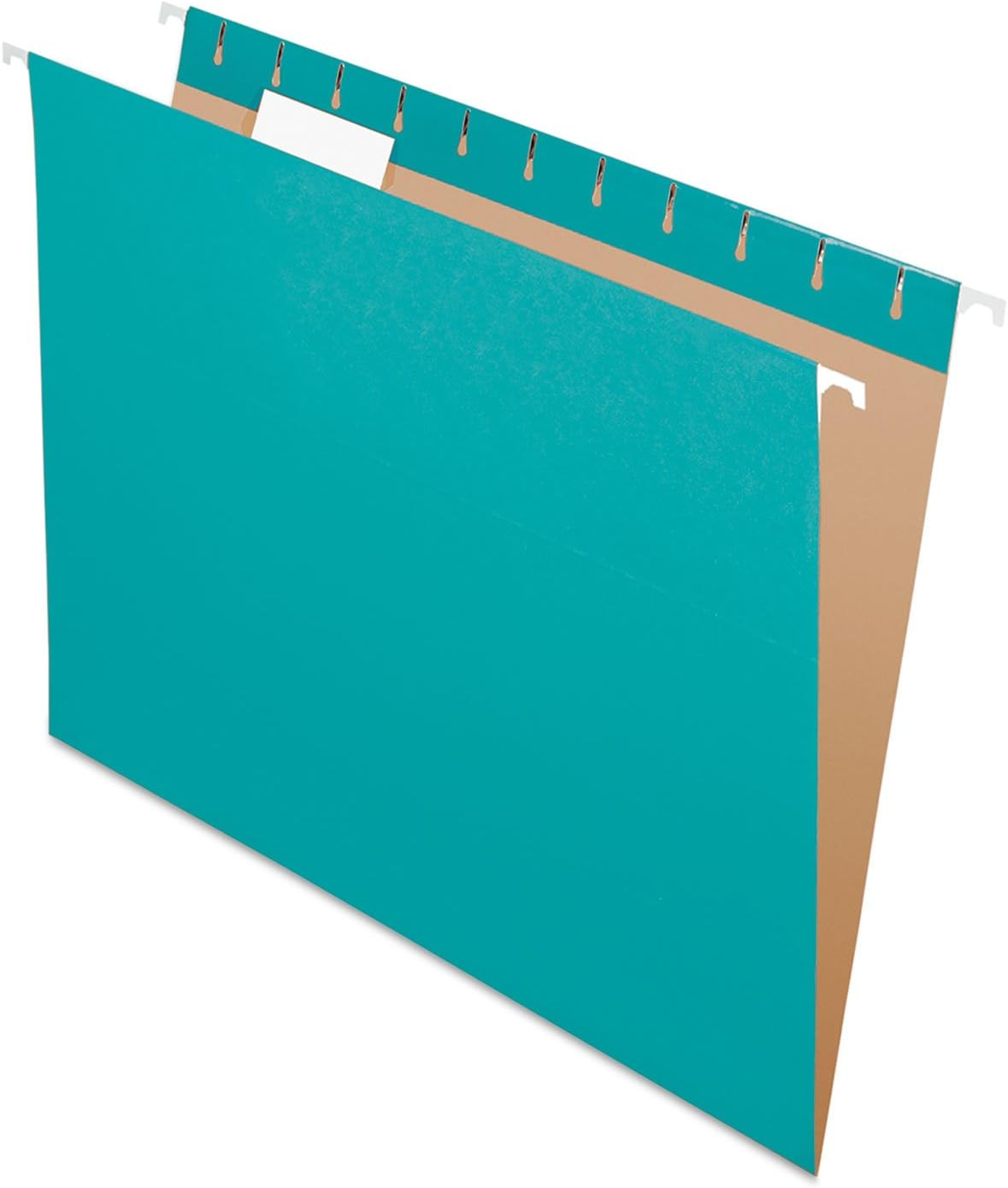 Pendaflex Essentials Hanging Folders, Letter Size, No Tabs, Standard Green, 25 per Box (81600)