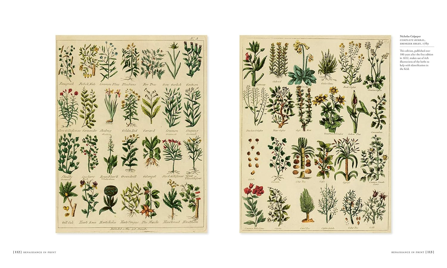 Scientifica Historia: How the World'S Great Science Books Chart the History of Knowledge image number 1