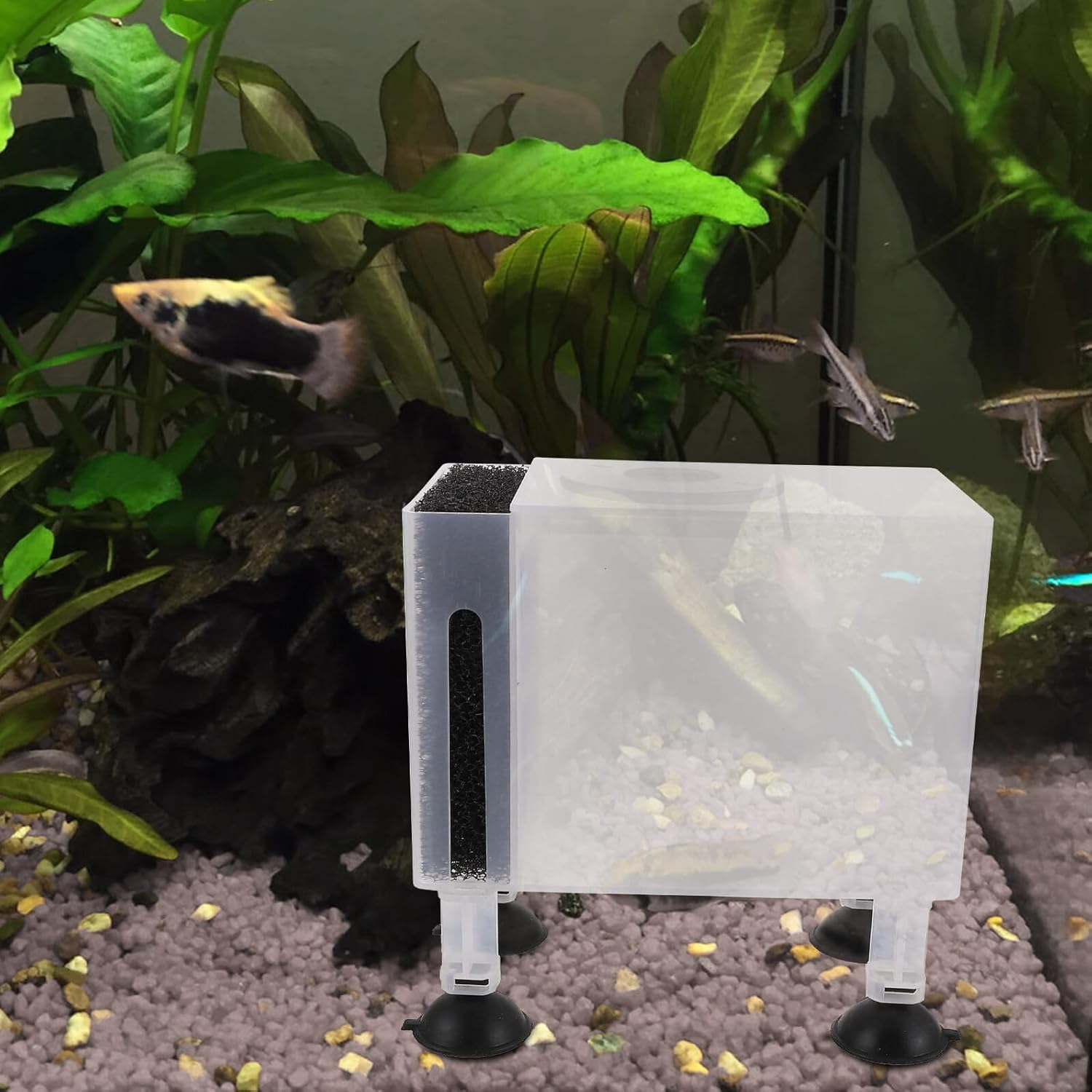 Wear-Resistant Plastic Pump Case with Filter Protection Box Transparent Large Outdoor Water Pump Container for Aquarium and Fish Tank Filtration image number 1