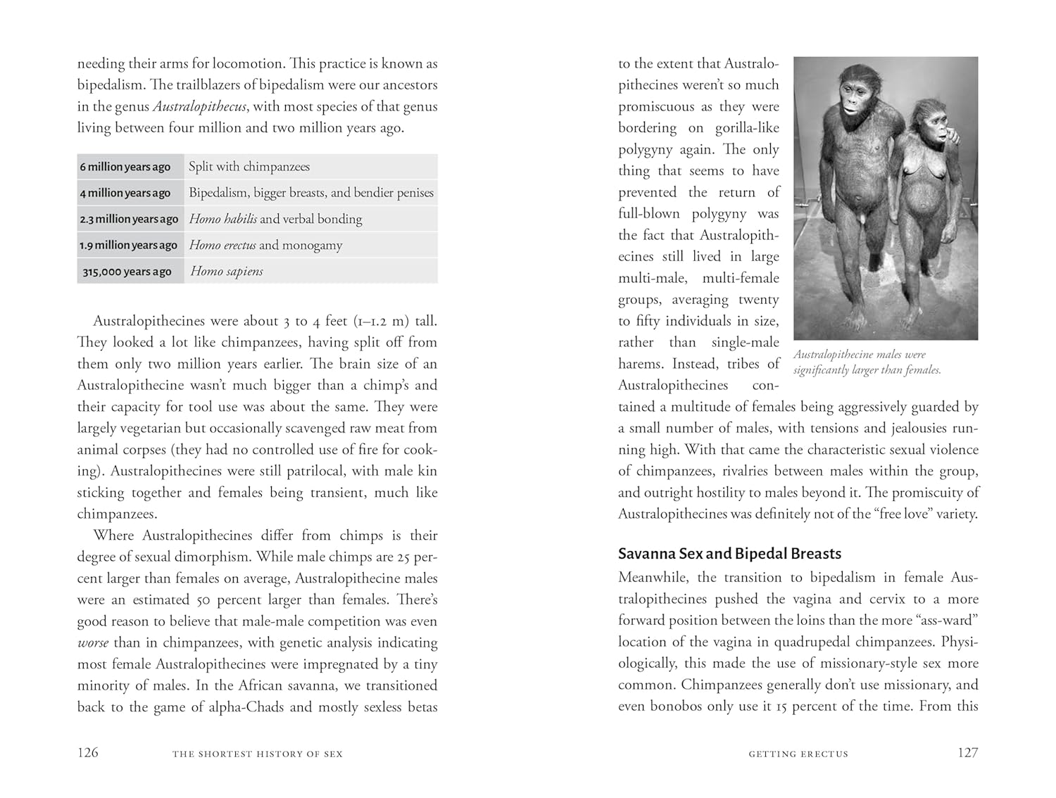 The Shortest History of Sex: Two Billion Years of Procreation and Recreation image number 1