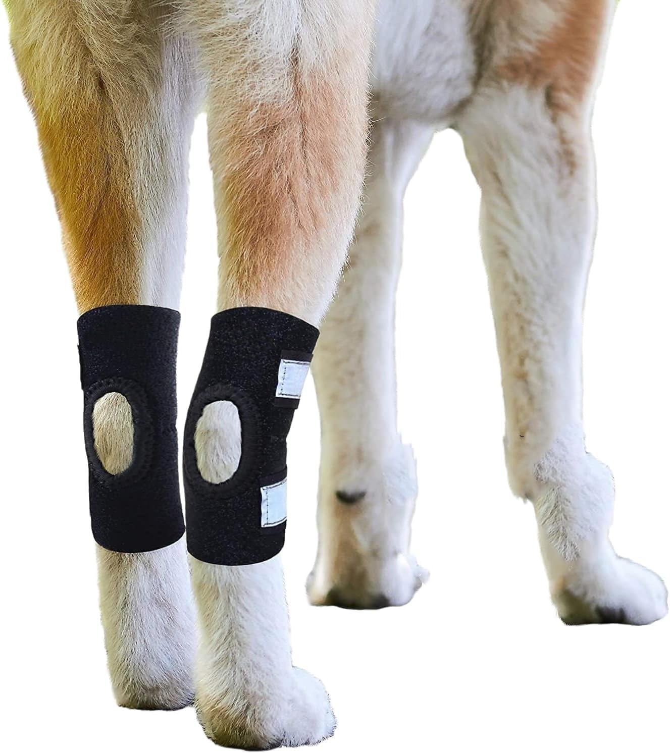 Dog Knee Brace for Torn ACL Hind Leg and Luxating Patella, Canine Rear Hock Joint Support, Joint Injury and Sprain Protection, Removable Design (S) image number 1