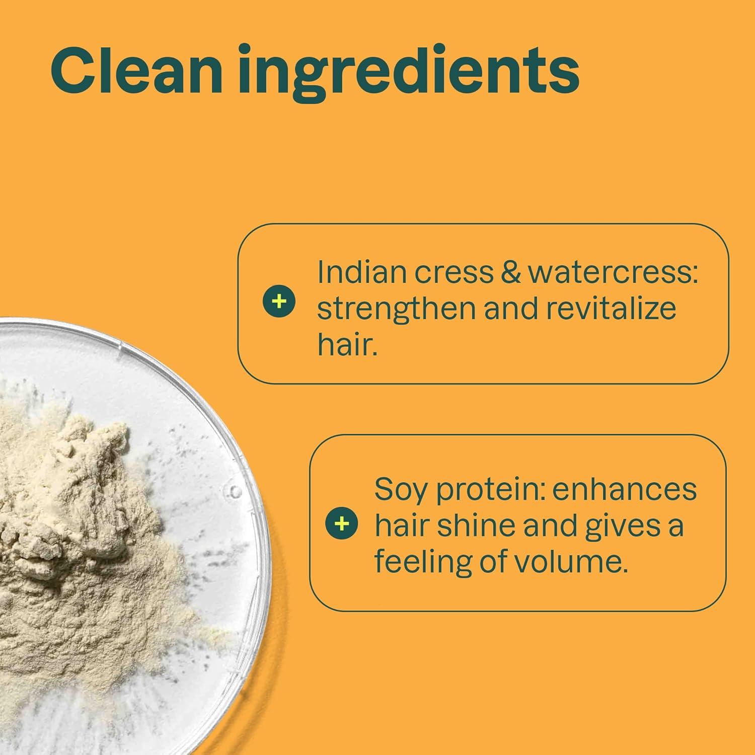 ATTITUDE Volume and Shine Hair Conditioner, for Thin Hair, Naturally Derived Ingredients, Vegan Detangler, Dermatologically Tested, Soy Protein & Cranberries, 8 Fl Oz image number 3