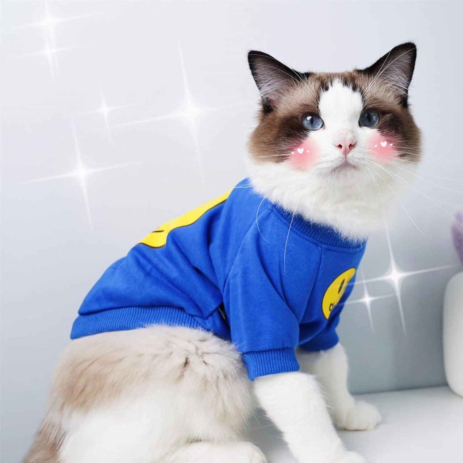 KASESSS Pack of 2 Cat Clothes, Cat Bodysuit, Costume for Cats, Long Sleeve Cat Clothing, Sports Shirt, Cat Clothes with Thin Fleece, Cat Winter Clothes, Blue, Black, L image number 3