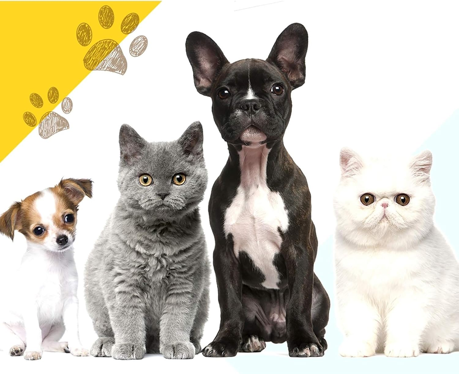 I.Pet 24" Large 8 Panel Pet Dog Playpen Rabbit Play Pen Playpens Fence Cage Cages Puppy Exercise Enclosure Crate Pets Barrier Portable Outdoor Indoor Run Gate Guinea Pig Heavy Panels Kennel - Model 1-61 X 61Cm image number 3