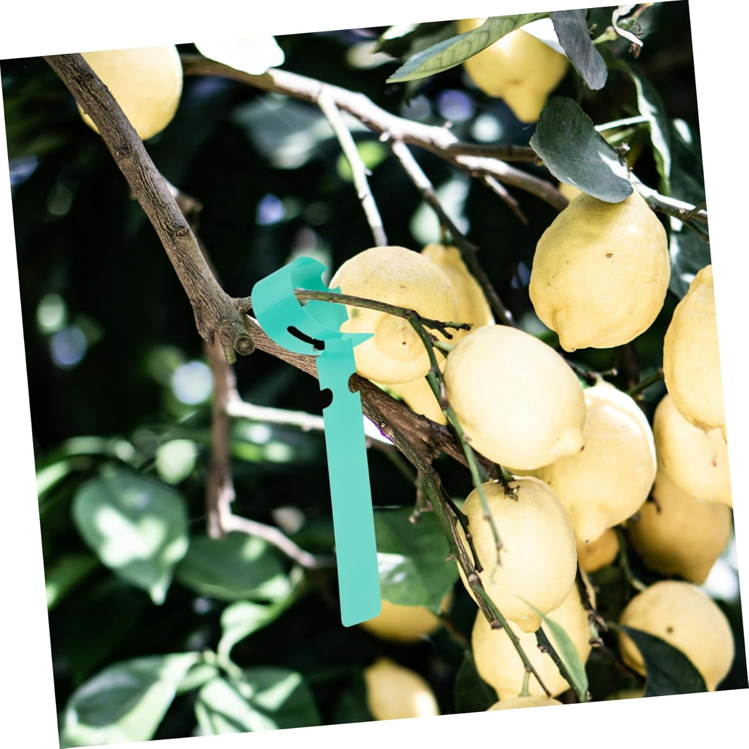 Happyyami 100Pcs Large Writing Surface Plant Labels for Garden Accessories Plastic Plant Tree Tags image number 1