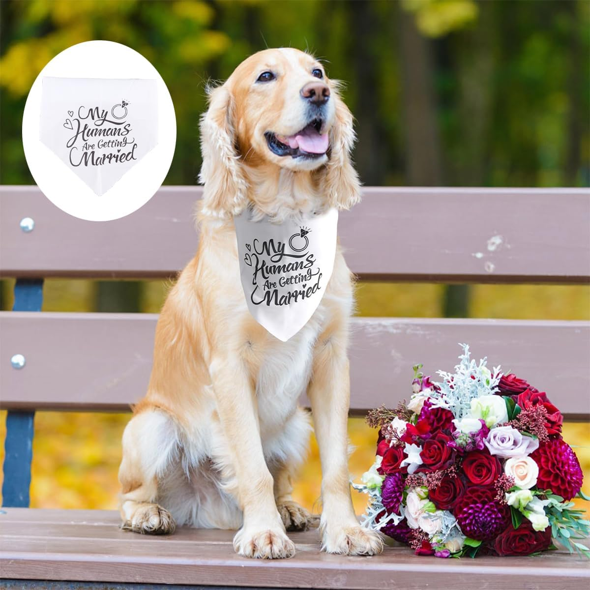 Enwye Wedding Dresses for Dogs for Engagement Day, Handkerchief Pet Dresses for Weddings, Engagement Parties and More! image number 4