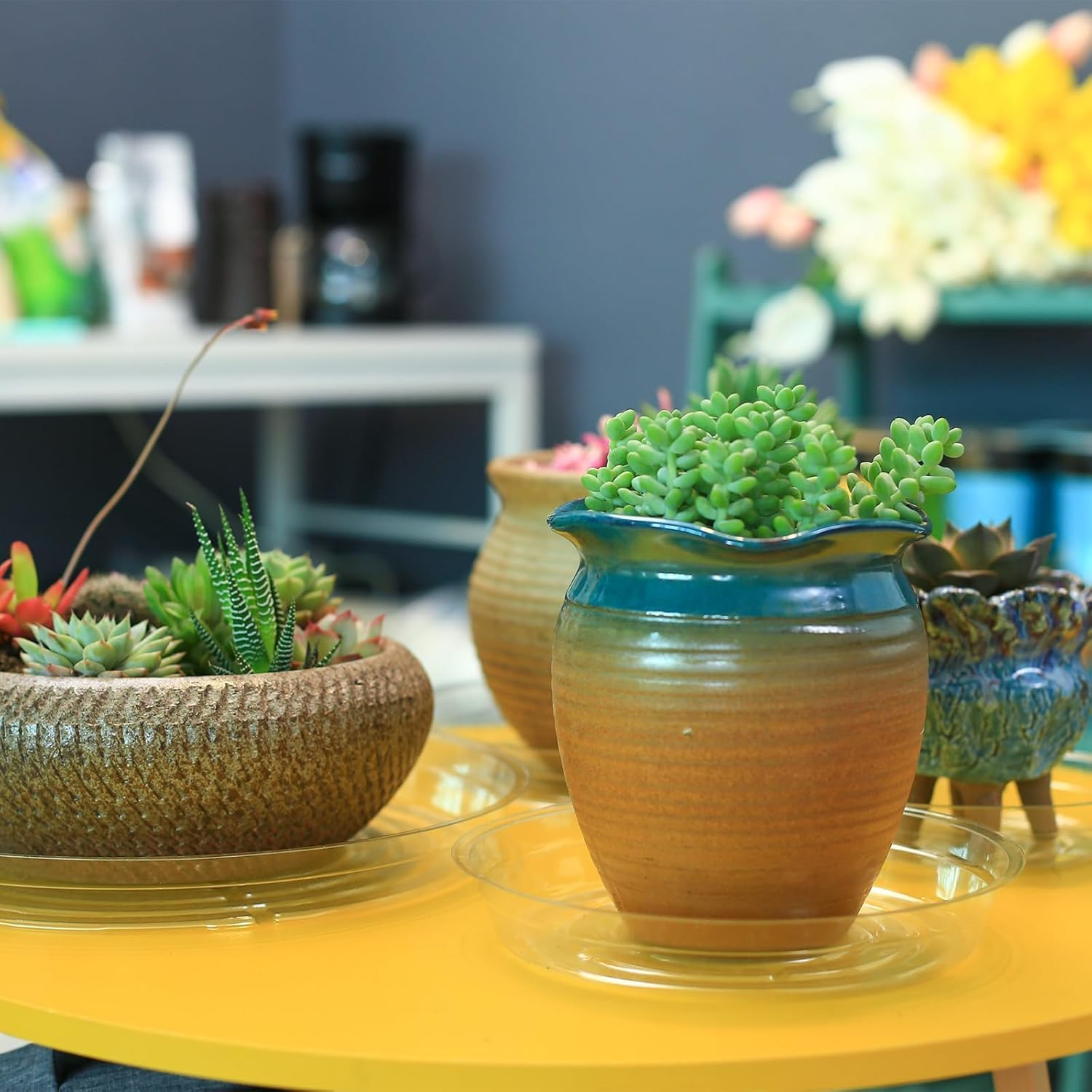 24 Pack, 15, 20, 25, 30 CM, Clear Plant Saucer Drip Trays, Plastic Plant Pot, Saucers Flower Pot Set, for Indoor Outdoor Garden, Assorted Sizes, 6 Pcs of Each Size, No Holes Plant Trays for Pots Bulk image number 6