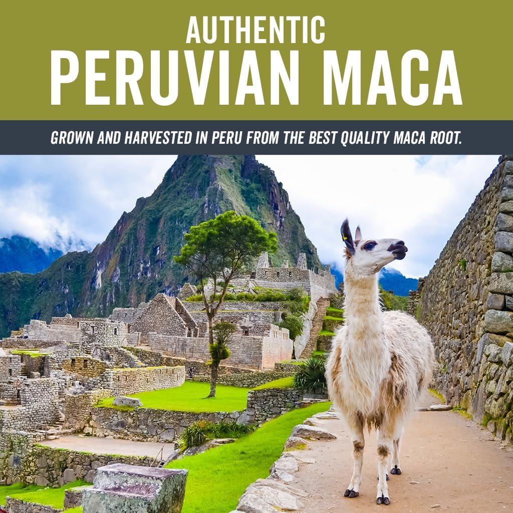 Organic Maca Powder 1Lb (16 Oz) Gluten Free Gelatinized Maca Powder for Easier Digestion, Certified Organic & Non-Gmo image number 6