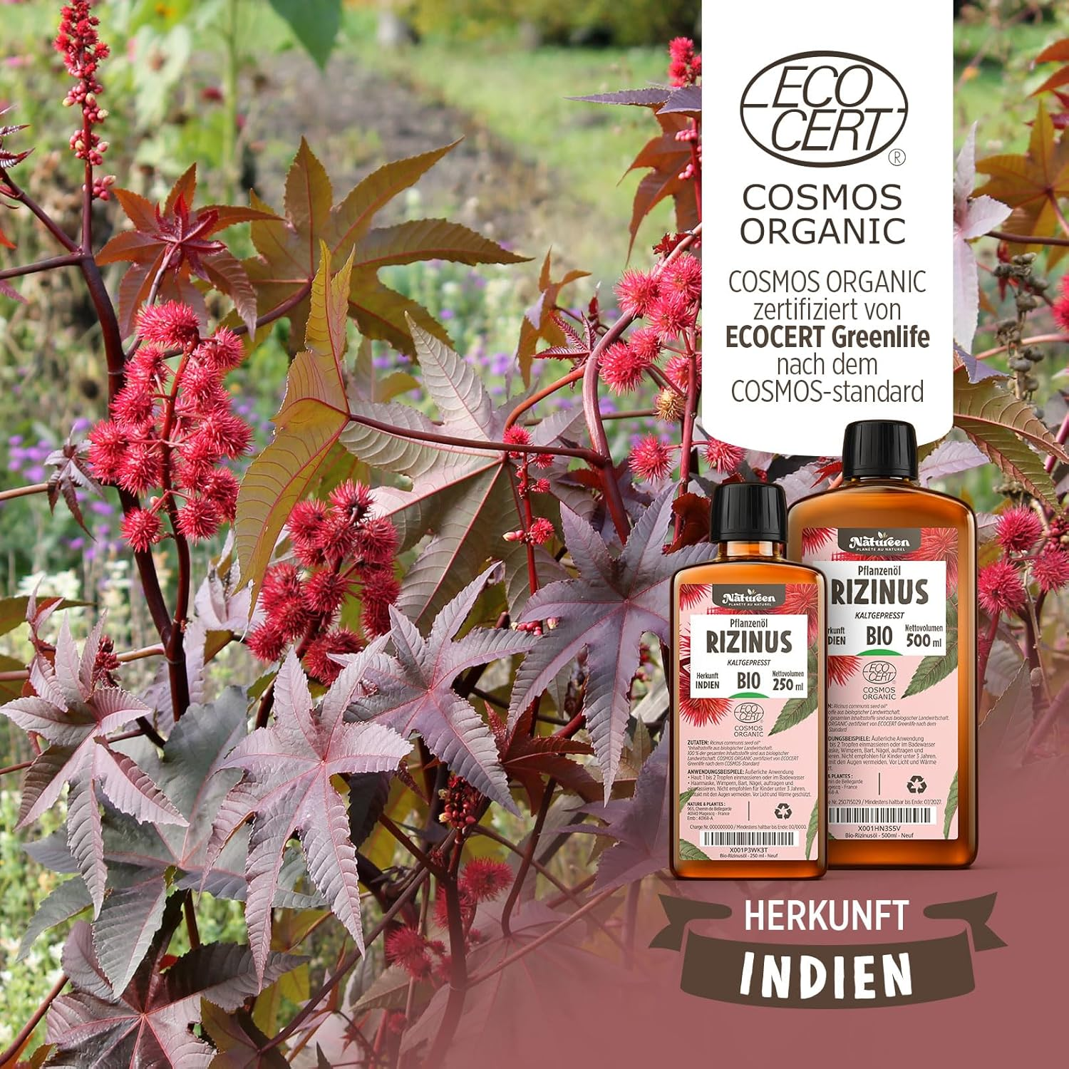 Organic Castor Oil 150 Ml - 100% Pure, Natural and Cold Pressed - Eyelashes, Eyebrows, Hair, Beard, Nails image number 4