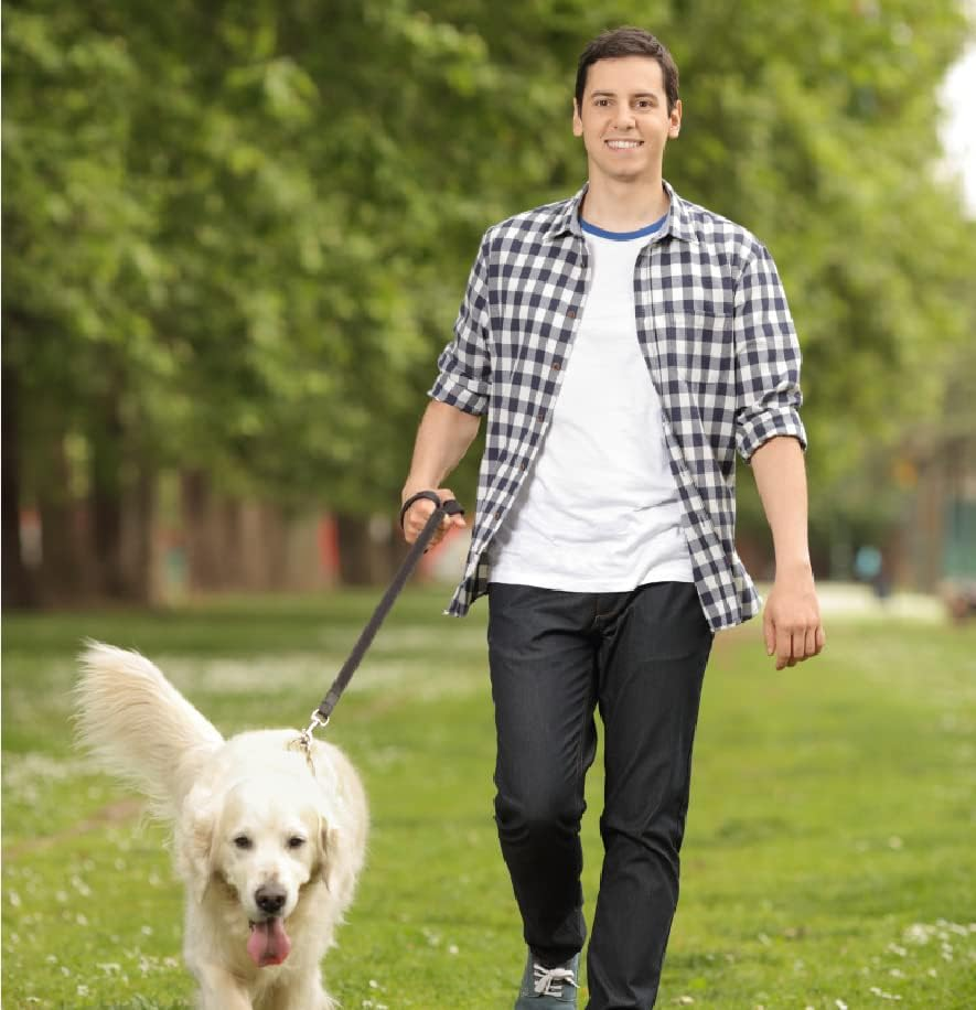 Guiding Star Leather Dog Leash 8Ft, Dog Leashes for Dogs Heavy Duty, Soft Braided Handmade Leather Training Leash for Small & Medium Dogs (8Ftx1/2Inch, Black) image number 5