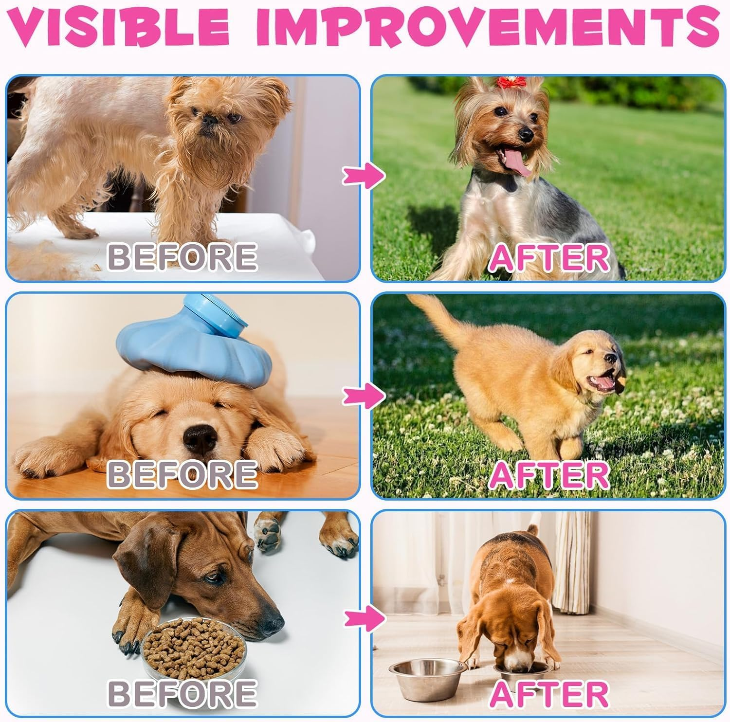 2Pcs Collagen for Dogs,Liquid Collagen for Dog,Skin & Coat Supplement for Dogs,Bacon Flavor,With Biotin,Msm & Ginger