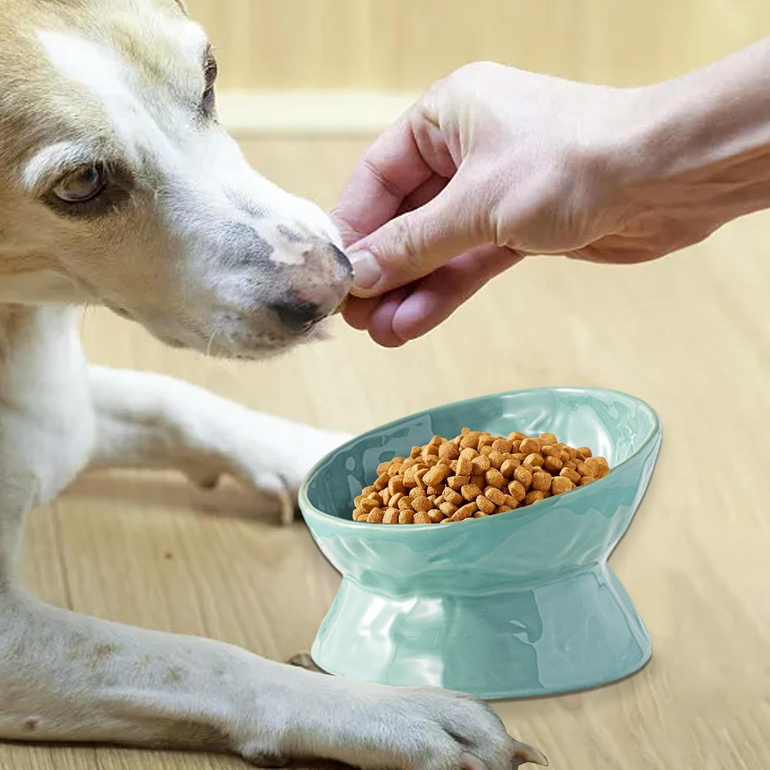 Shurzzesj Elevated Cat Water Bowl, Ceramic Cat Food and Water Bowls, Anti-Tip Pet Food Dish, Wide Cat Food Bowl for Cats Dogs Pets - Creamy Yellow Flat Mouth image number 6