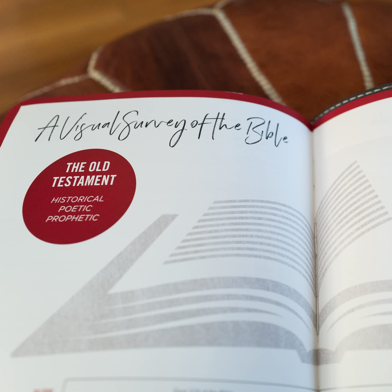 NKJV Thinline Bible Youth Red Letter Edition [Brown]: Holy Bible, New King James Version image number 6