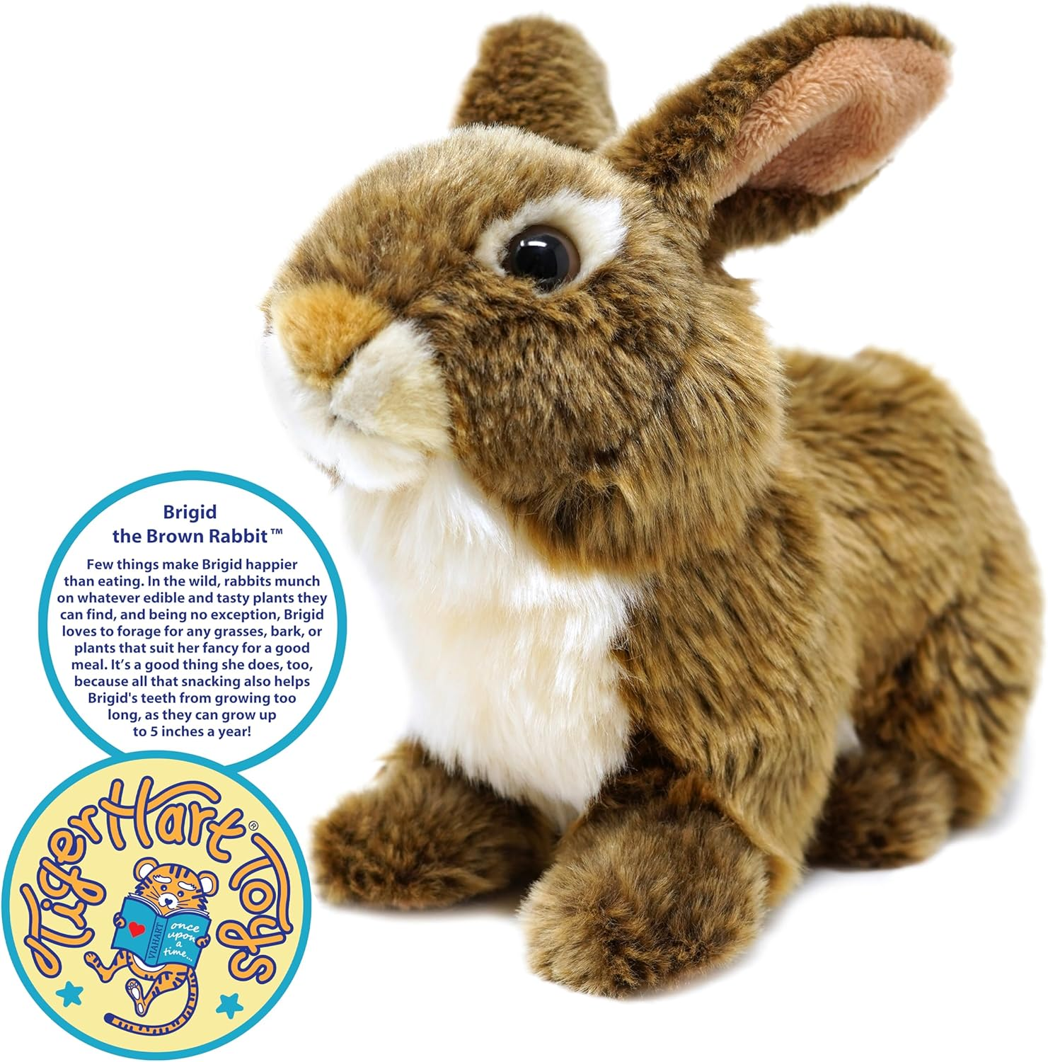 Brigid the Brown Rabbit - 10 Inch Stuffed Animal Plush Bunny - by Tigerhart Toys image number 6
