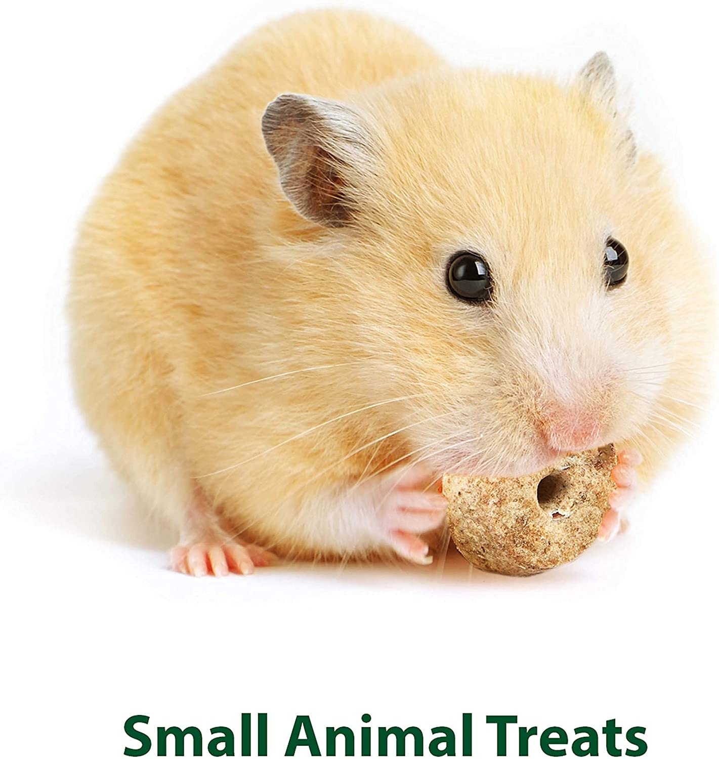 Kaytee Timothy Biscuits Baked Carrot Treat, 4-Oz Bag