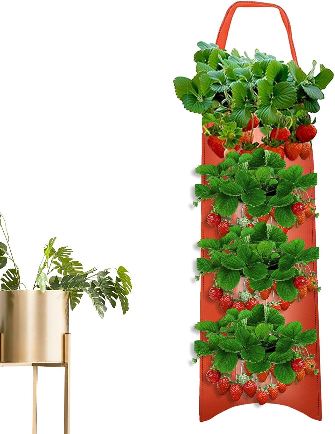 Tomato Planter Bag | Floating Fabric Aeration Pouch with 8 Holes for Planting - Gardening Accessories for Tomatoes, Carrots, Roses, Strawberries, Vegetables image number 6