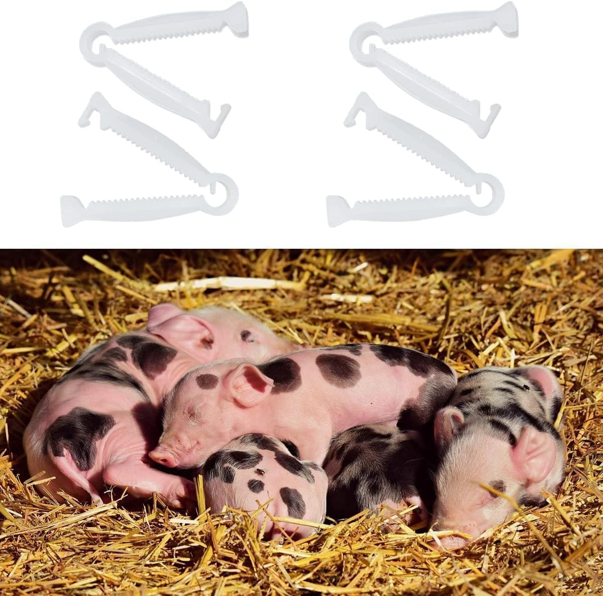 Crovakeu 100 Pcs Umbilical Cord Clamps for Newborn Animals,White PP Plastic Puppy and Kitten Birth Clips, Livestock Whelping Clamps, Veterinary Obstetrical Tool Kit for Piglets, Lambs,Cats image number 5