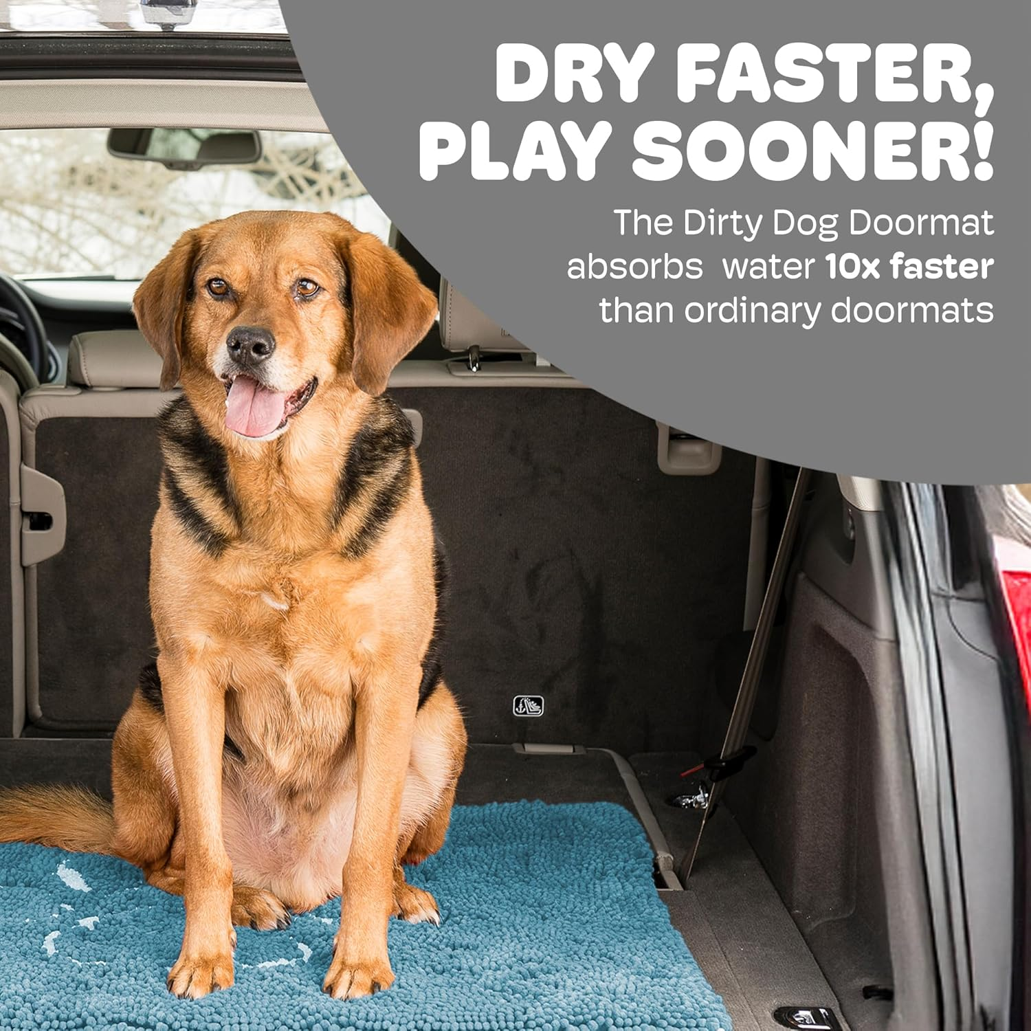Dog Gone Smart Dirty Dog Doormat Cute Paw Print Ultra Water Absorbent Fast Drying Microfiber Small, Medium, Large and Runner Heavy Non-Skid/Slip Backing Machine Wash, Rain Snow Muddy Wet Shoes & Paws