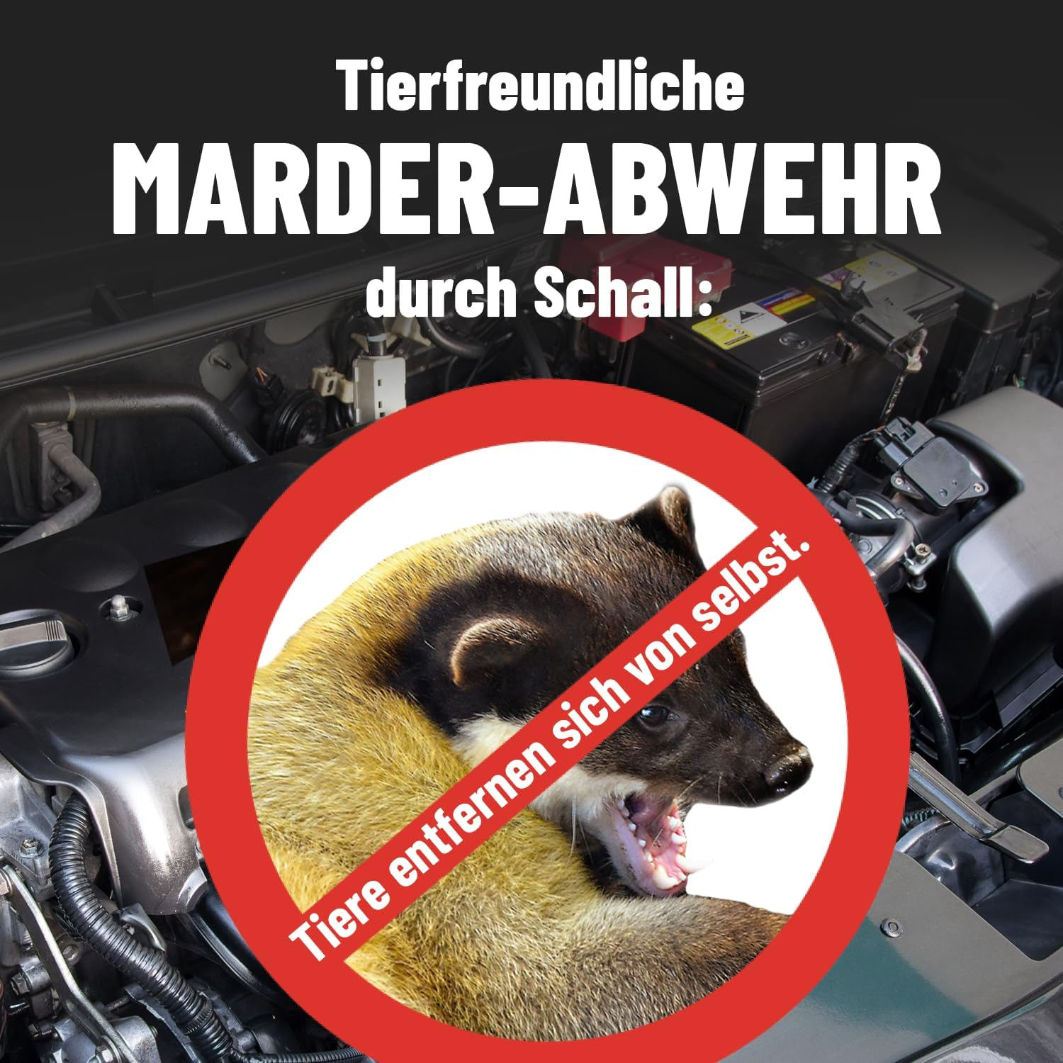 Greate. 3 X Marten Deterrent Car with 12 V Battery Connection &ndash; Marten Deterrent Car for Engine Compartment &ndash; Mader Repellent, Marten Protection for Car, Marten Repellent Car, Marten Ultrasound