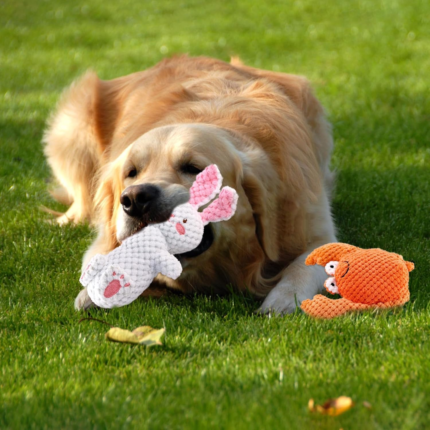 2 Pack Dog Squeaky Toys, Stuffed Plush Dog Toys, Dog Chew Toys for Puppy, Small, Middle Dogs image number 1