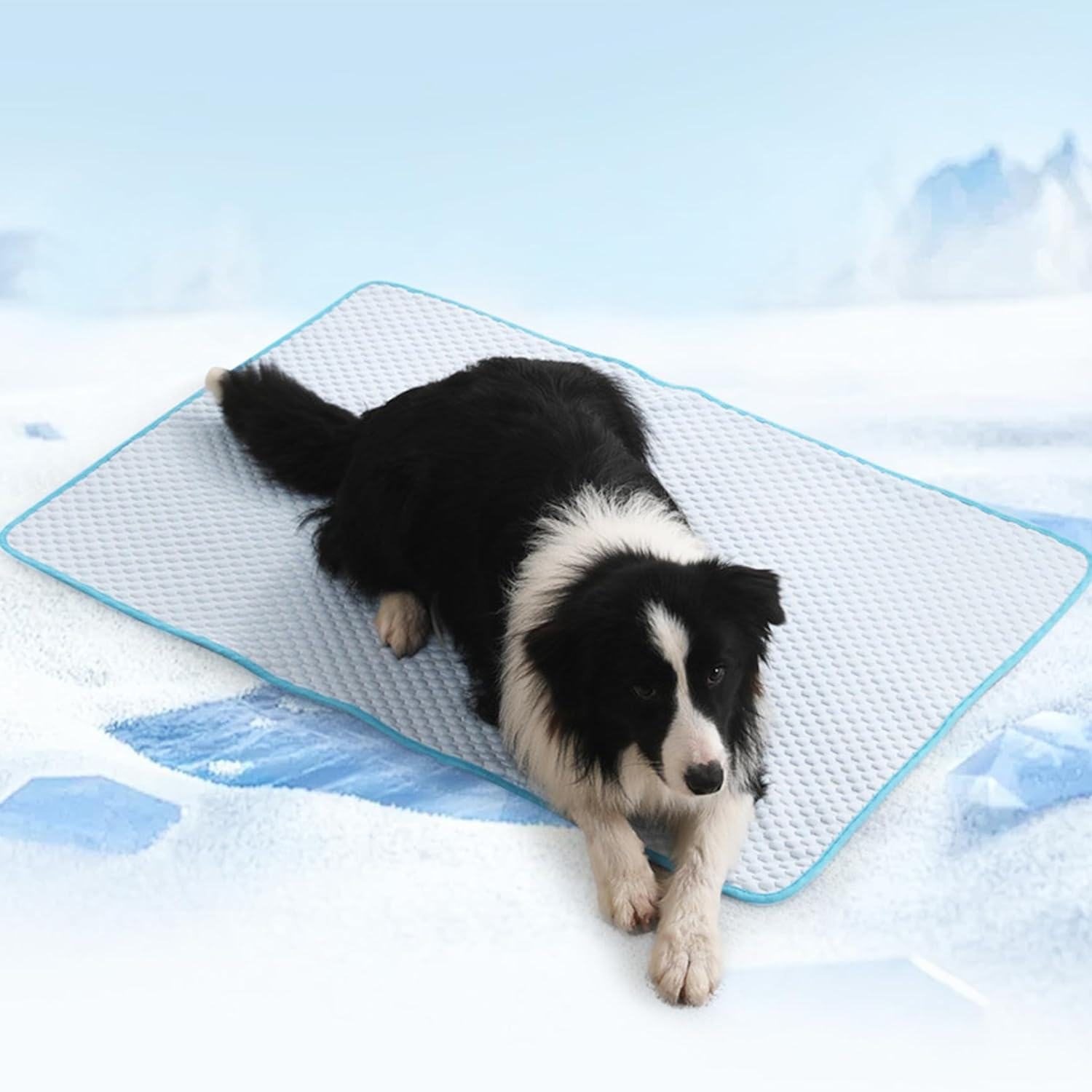 Qaziuy Cooling Mat for Dogs, Dog Cooling Mat, Self-Cooling, Non-Slip Soft Dog Cooling Mat for Summer, Cooling Mat for Dogs for Home, on the Go or in the Car (L-80 X 60 Cm)