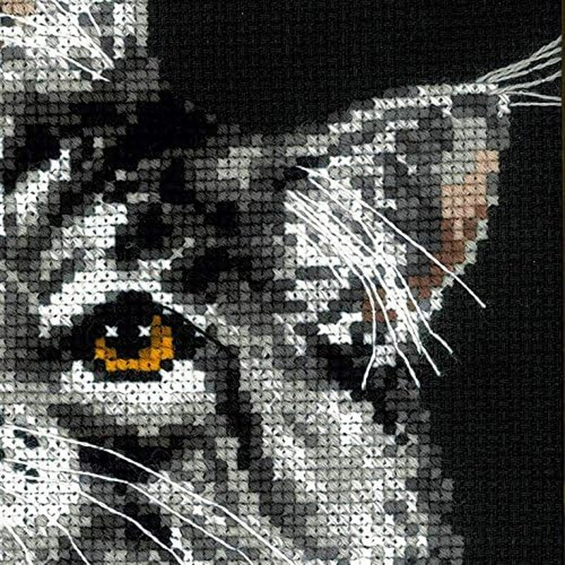 Riolis Maine Coon Cross Stitch Kit &ndash; 1599 Cotton Multi-Color, 21 X 30 X 0.1 Cm image number 2