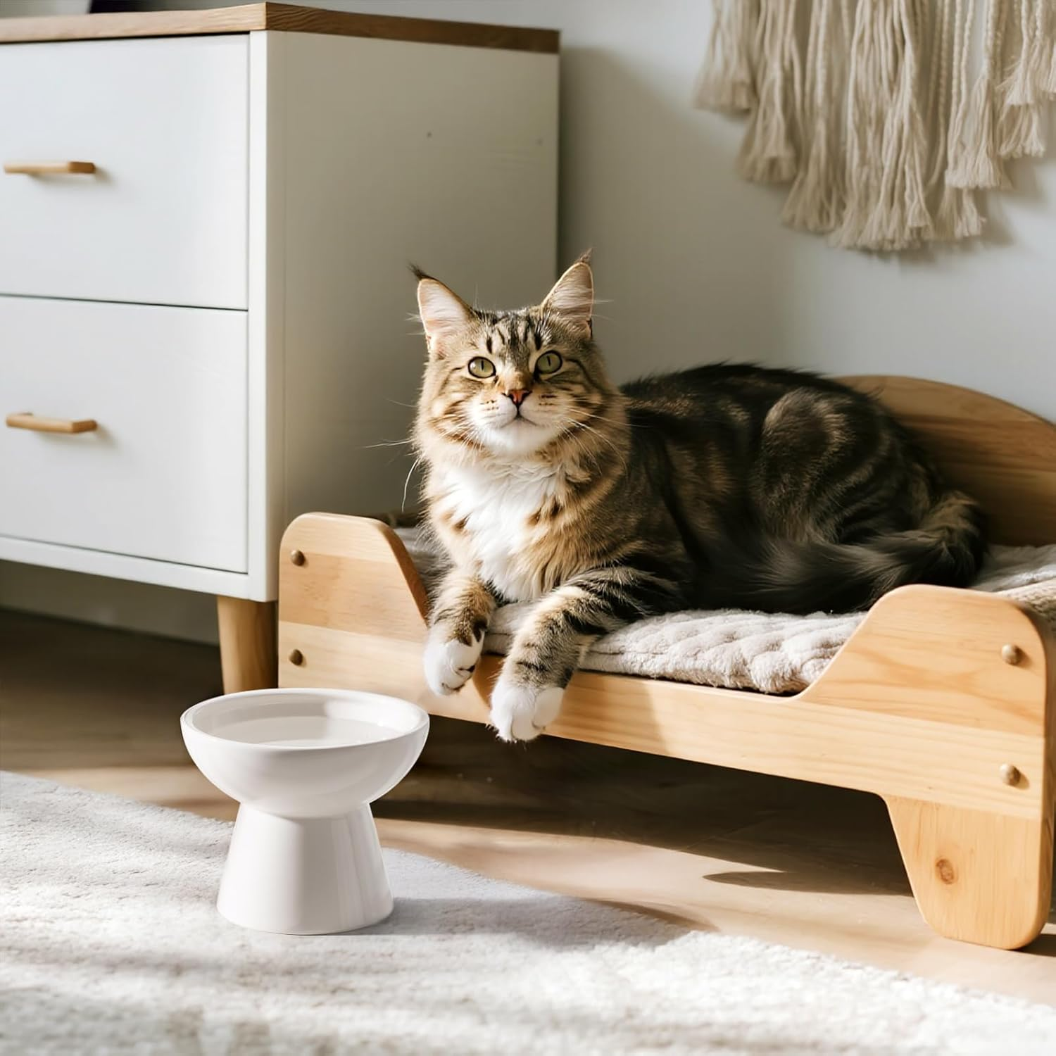 CEEFU Extra Wide, Raised Ceramic Cat Water Bowl, 6.2" Deeper Bowl for Whisker Relief, 5" Height for Easy Feeding, Lead and Cadmium Free, Durable, Raised image number 2