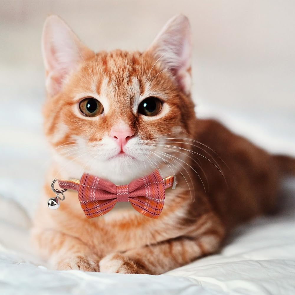 Set of 4 Blue and White Checked Cat Collars with Bow Tie and Bell Adjustable