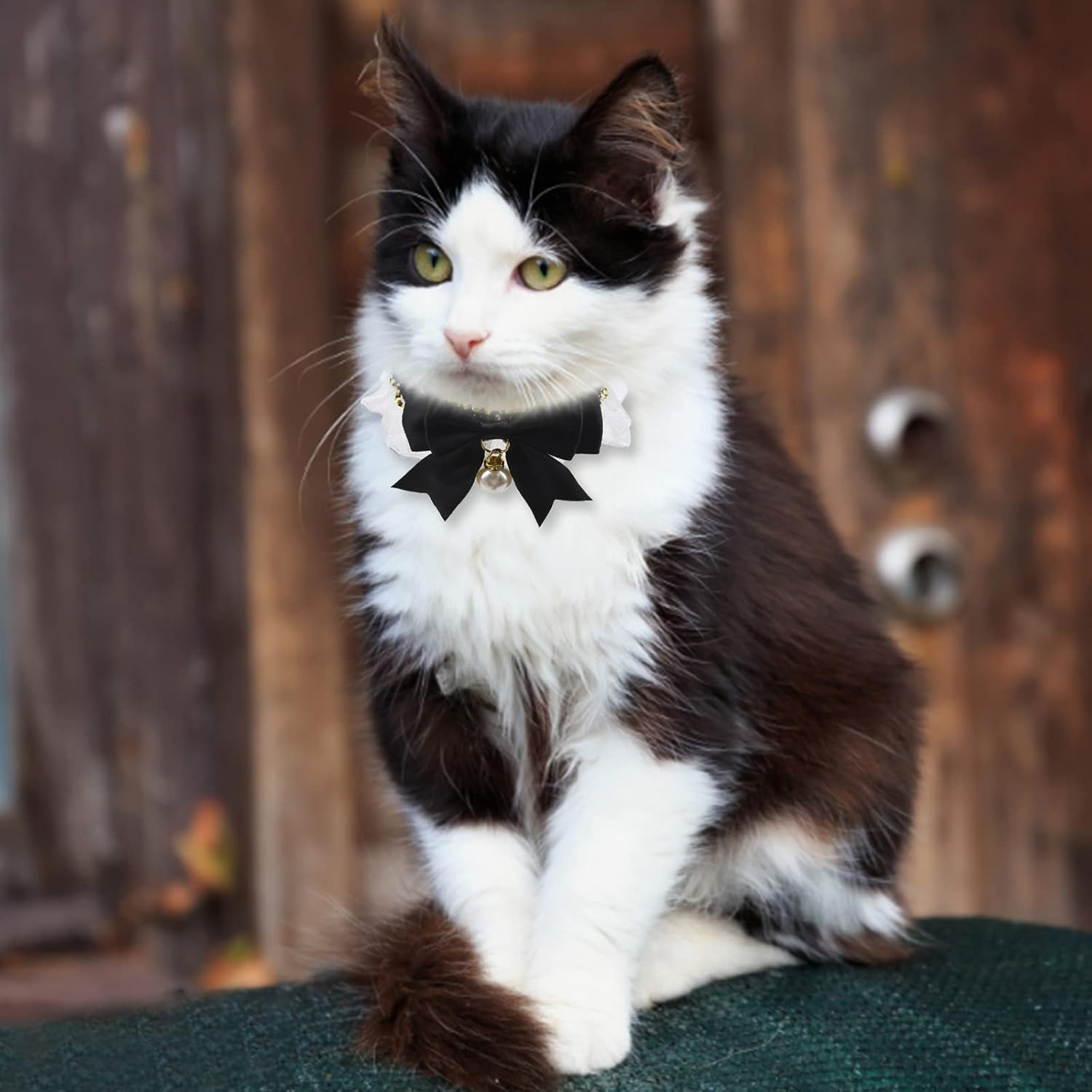 HACRAHO Pet Lace Collar, 2 Pieces Adjustable with Cute Pearl Pendant Elastic Black White Lovely Lace Collar for Cat Dog image number 2