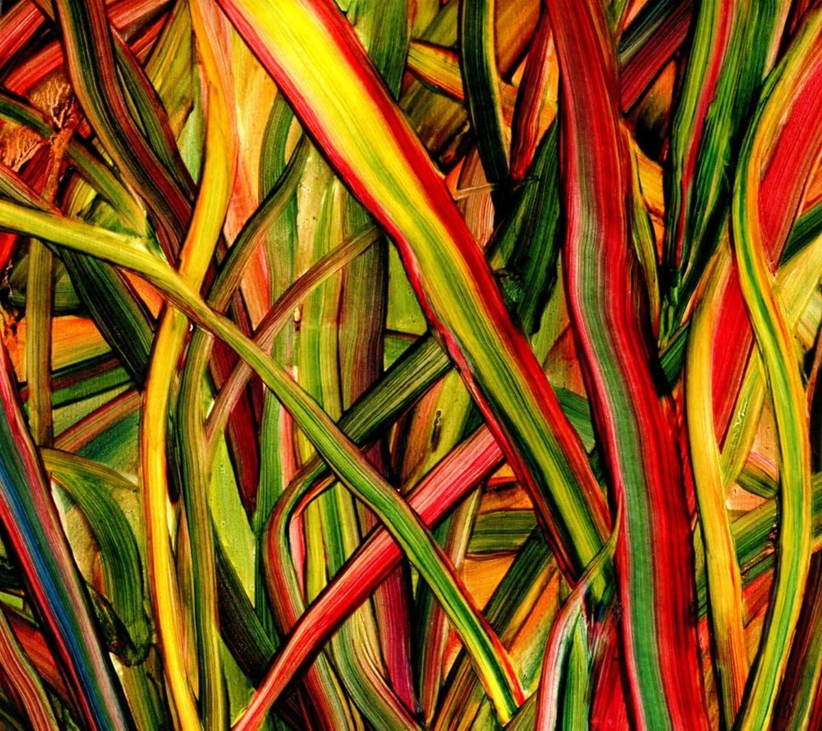 Where Wildness Grows