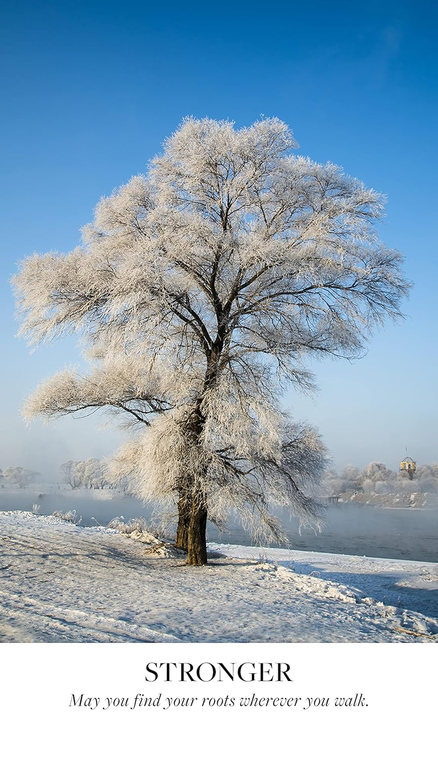 Earth Blessings Oracle Cards: Connect with the Healing Power of Nature (A 48 Card Deck with Guidebook) image number 2