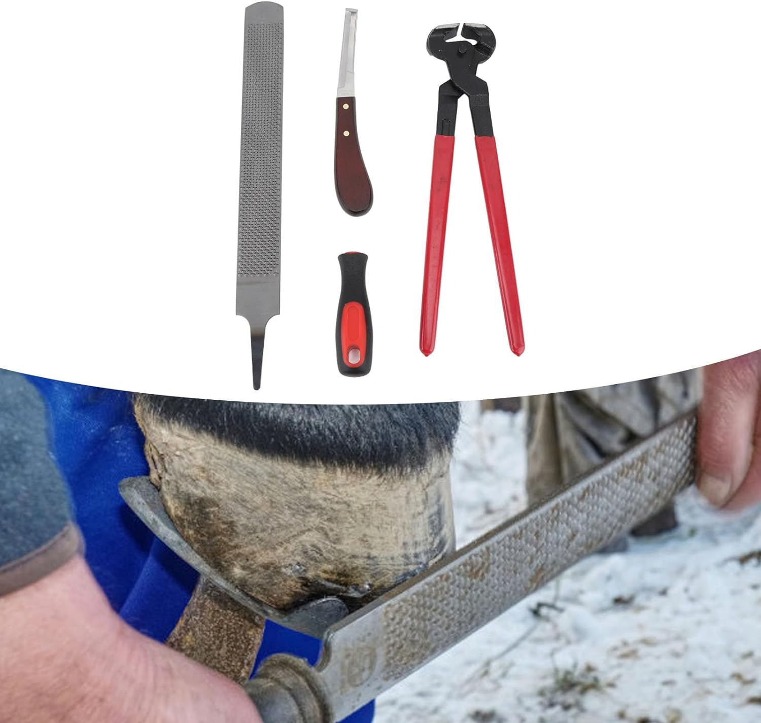 Horse Farrier Hoof Trim Tool, Double Sided File Horse Farrier Tool Kit Farrier Tool Kits Hoof Trimmer Tool Professional Horseshoe Pliers Nipper for Horses Cattle Sheep Donkeys image number 5