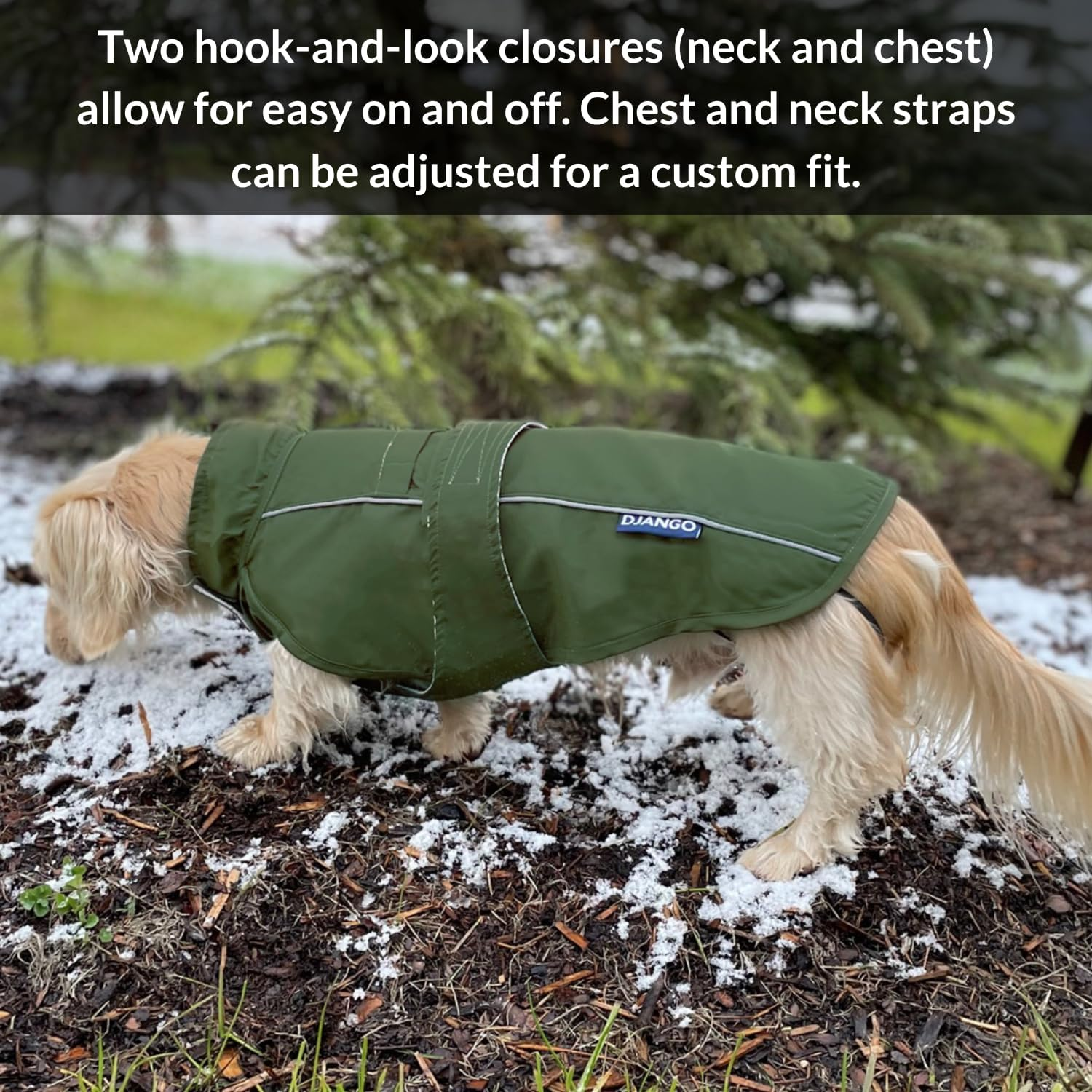 DJANGO City Slicker All-Weather Dog Jacket & Water-Repellent Raincoat with Reflective Piping (Small, Kombu Green) image number 6