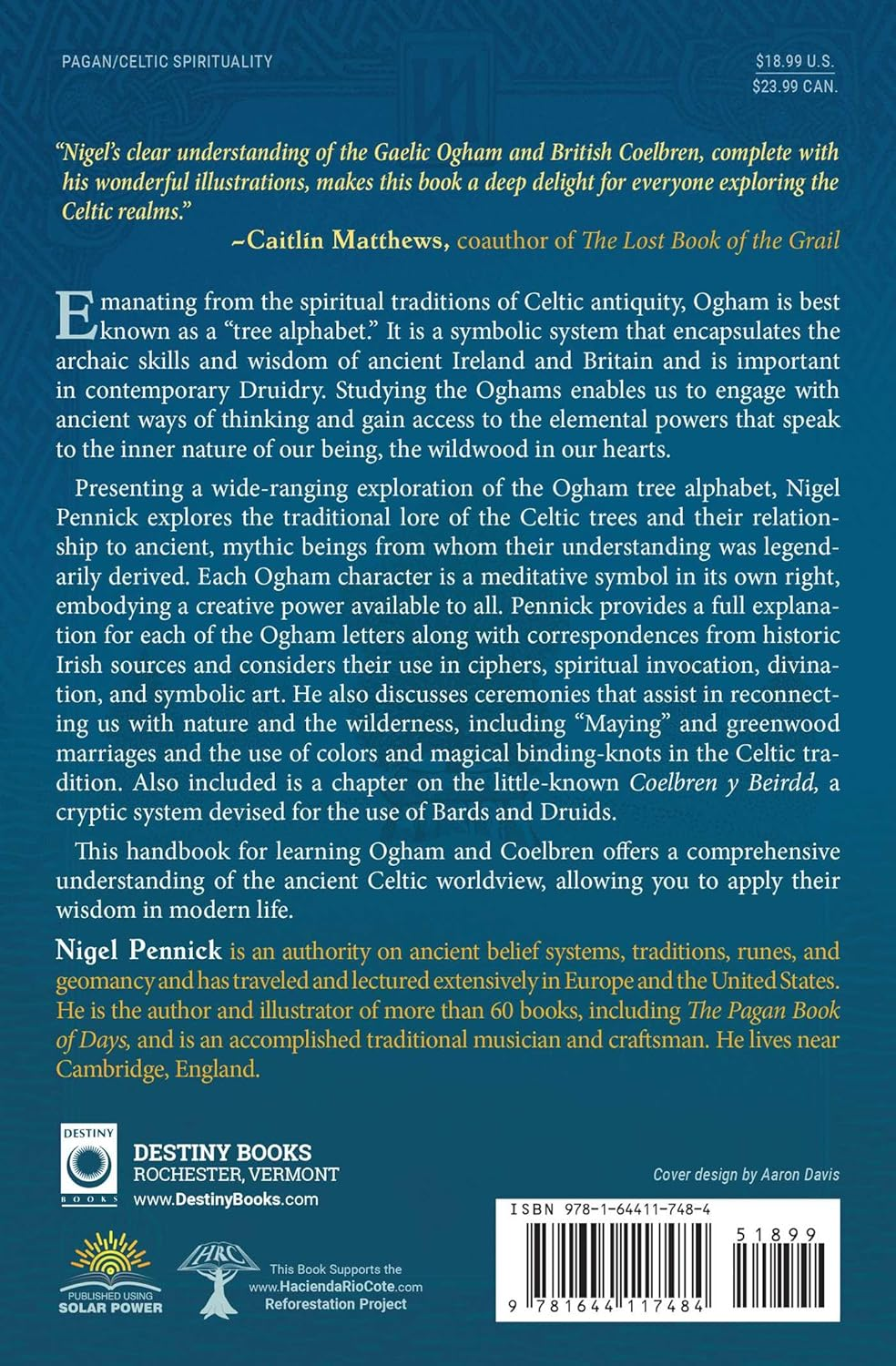 Celtic Tree Alphabets: Mystic Signs and Symbols of Ogham and Coelbren image number 3