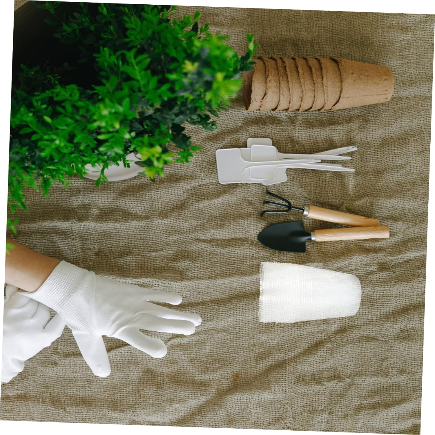 CAXUSD 30Pcs Plastic Plant Nutrient Cups for Phalaenopsis and Succulent Seedlings, 3.5-Inch Tall Gardening Nursery Pots, Outdoor and Indoor Garden Supply image number 4