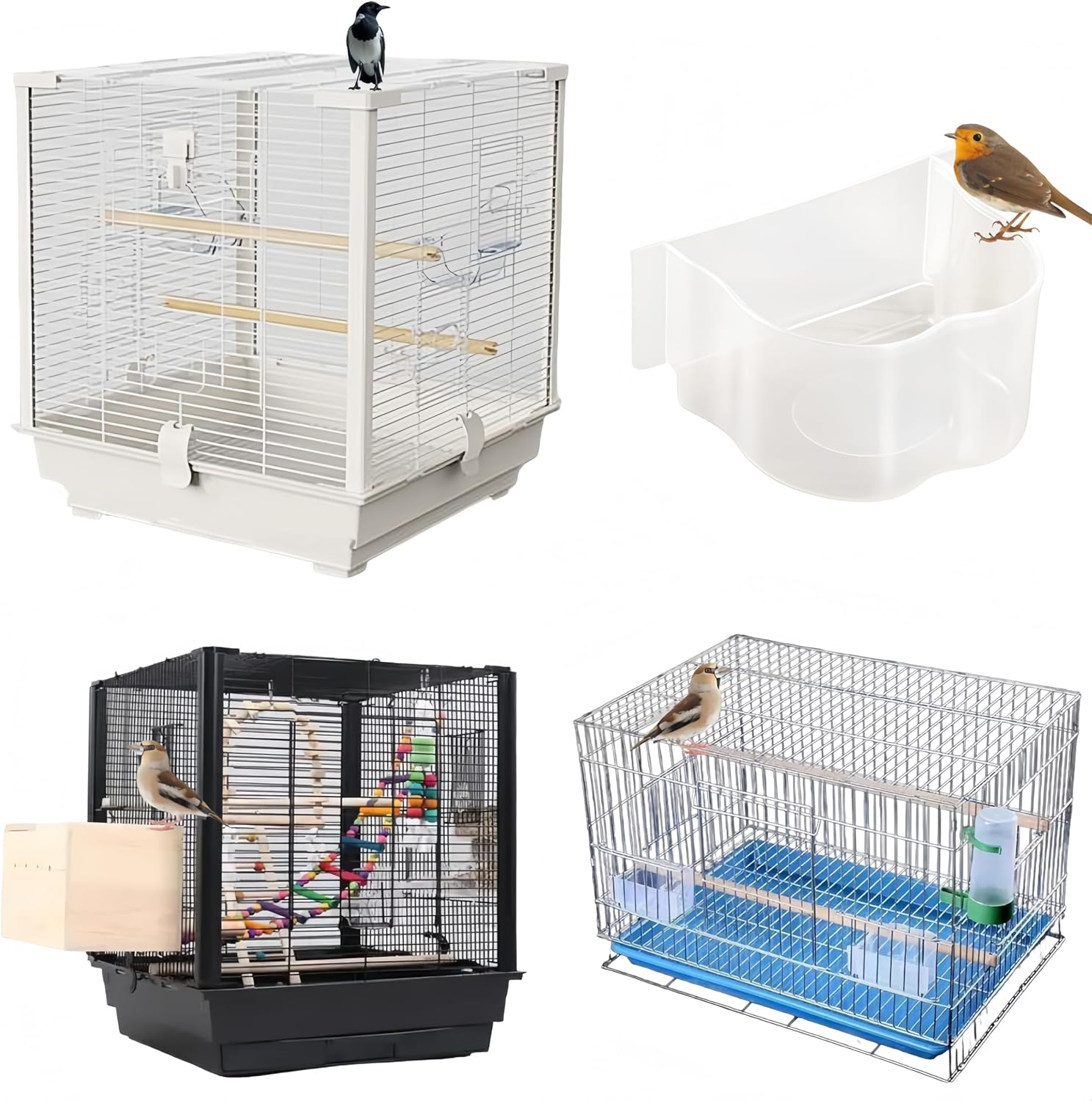 Aknebriax 6 Pcs Parrot Cage Replacement Food and Water Cup,Bird Feeding Dish,Parrot Feeding Bowls,Bird Feeder Pigeon Feeding Cups, Easy to Clean and Practical Feeding Pet Supplies for Small Bird