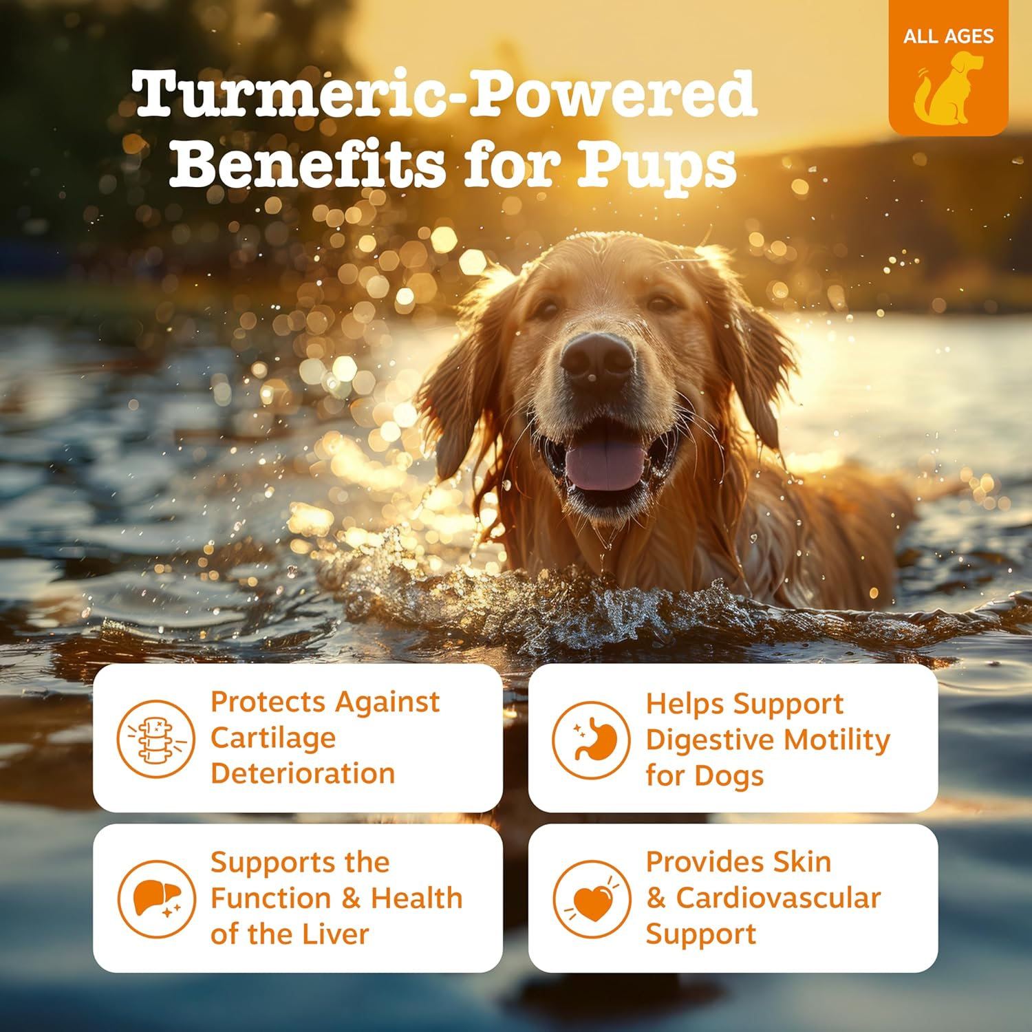 Zesty Paws Turmeric Curcumin with Bioperine for Dogs - Dog Joint Supplement with Coconut Oil & Black Pepper Extract - Soft Chews for Canine Immune System Support - Bacon Flavor - 90 Count image number 4