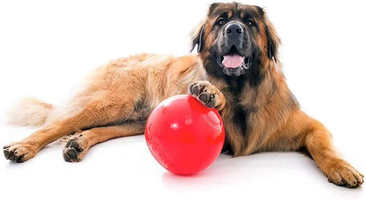 Aussie Dog Products 24Cm Enduro Interactive Hard Ball Toy Pet Outdor Red L image number 2