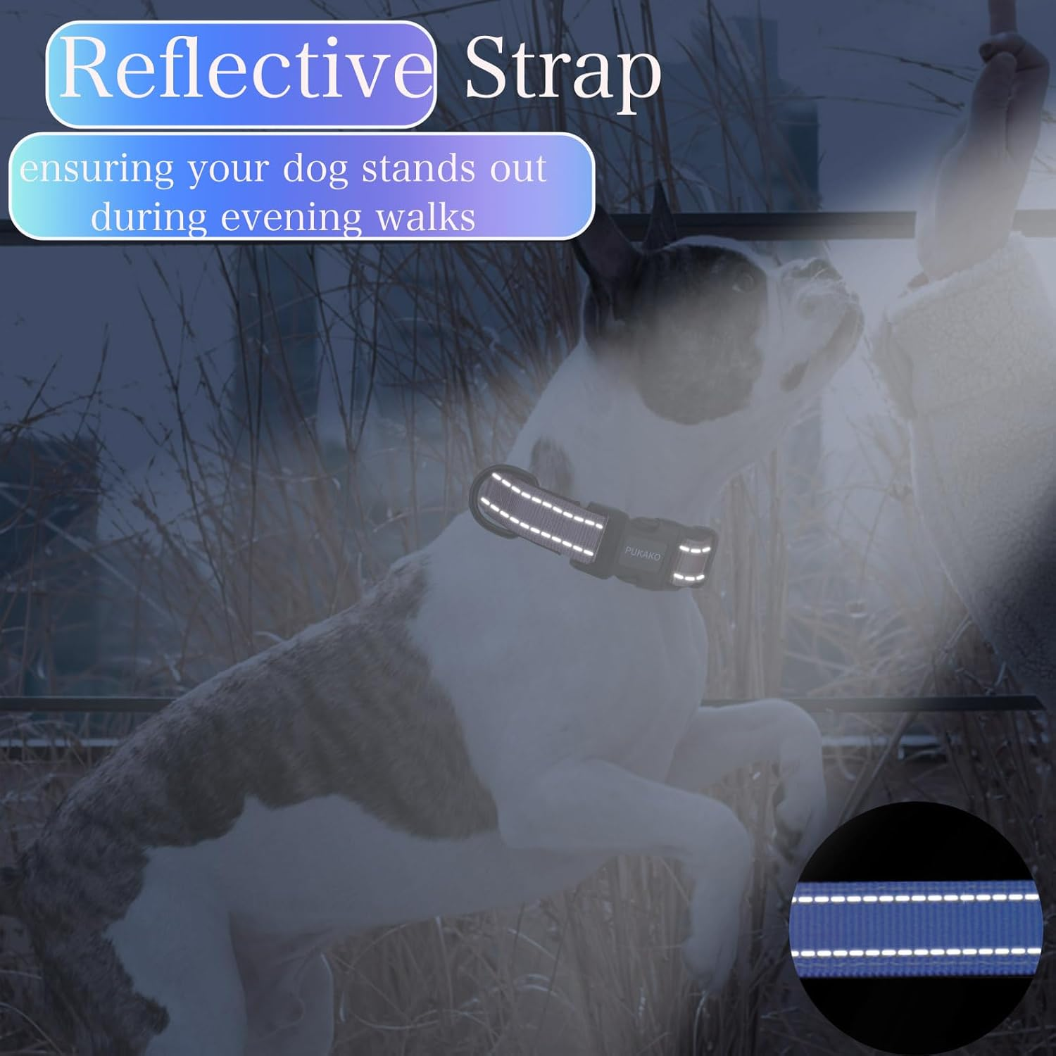 PUKAKO Reflective Dog Collar, Adjustable Soft Neoprene Padded Nylon Pet Collars with Buckle for Small Medium Large Dogs Girl, Blue Gradient, L image number 2