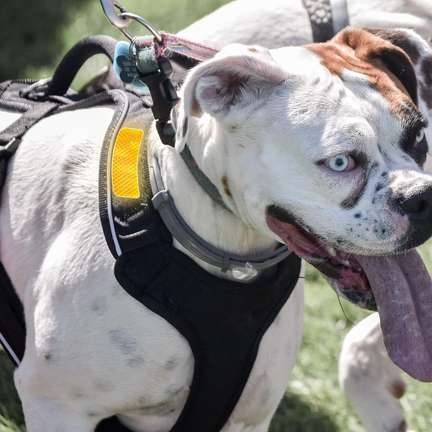 25 Pcs Warning Reflective Stickers Assortment - Outdoor Waterproof Reflective Tape Safety Stickers - 1.2X3.25Inch Driveway Reflectors for Night Visibility image number 6