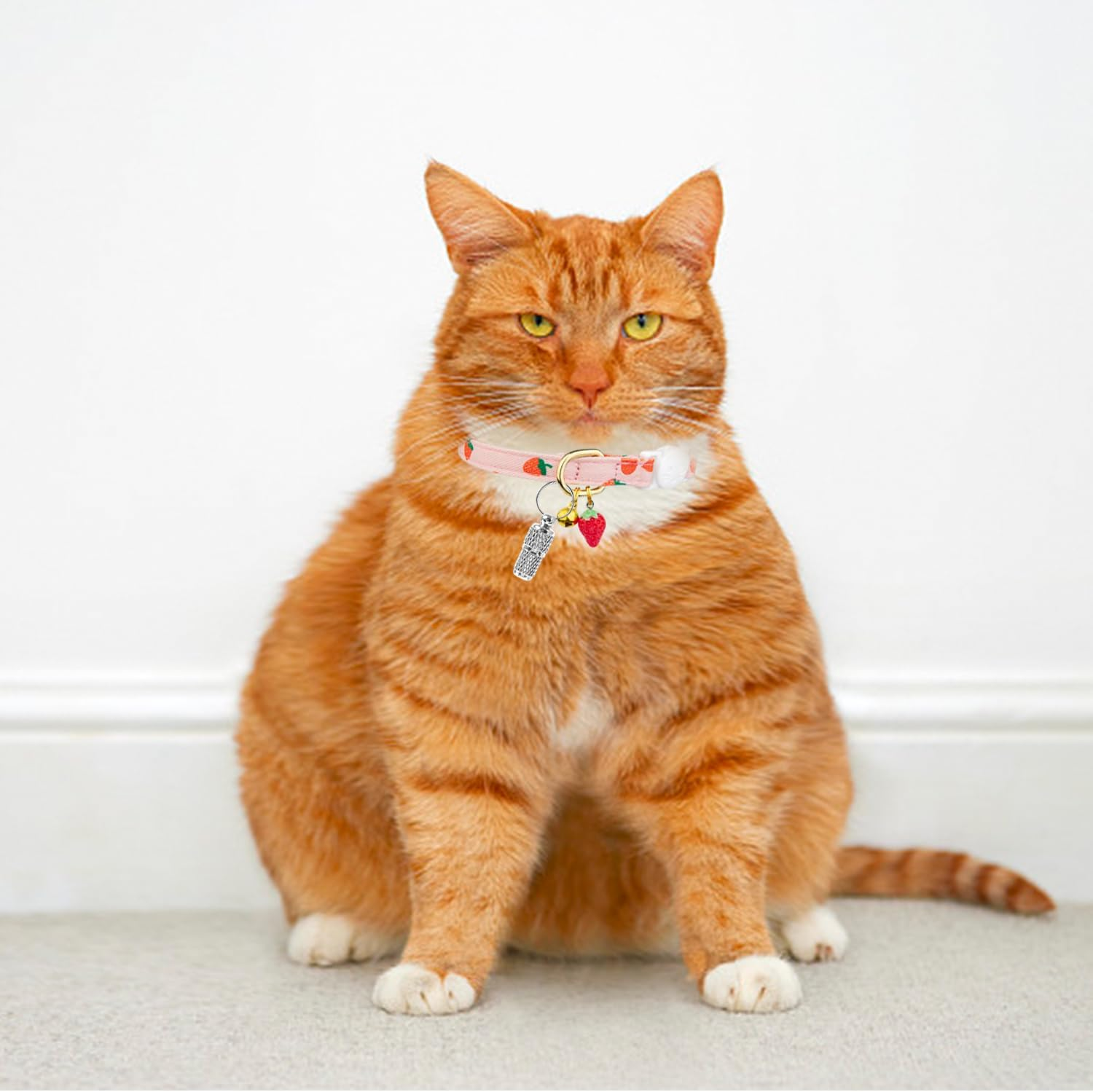 QIXNBL Pack of 2 Cat Collars and 2 Pieces Identity Pendants, Collars with Fruit Print, with Safety Buckle Design, Fashionable Collars, Cute Pets on the Road. image number 2