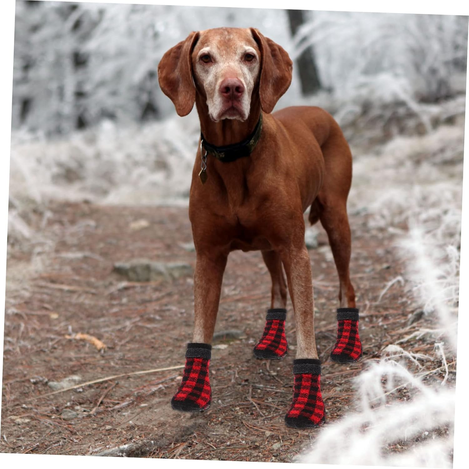 4Pcs Christmas Themed Warm Pet Socks for Dogs Non Slip Footwear for Indoor Use image number 1