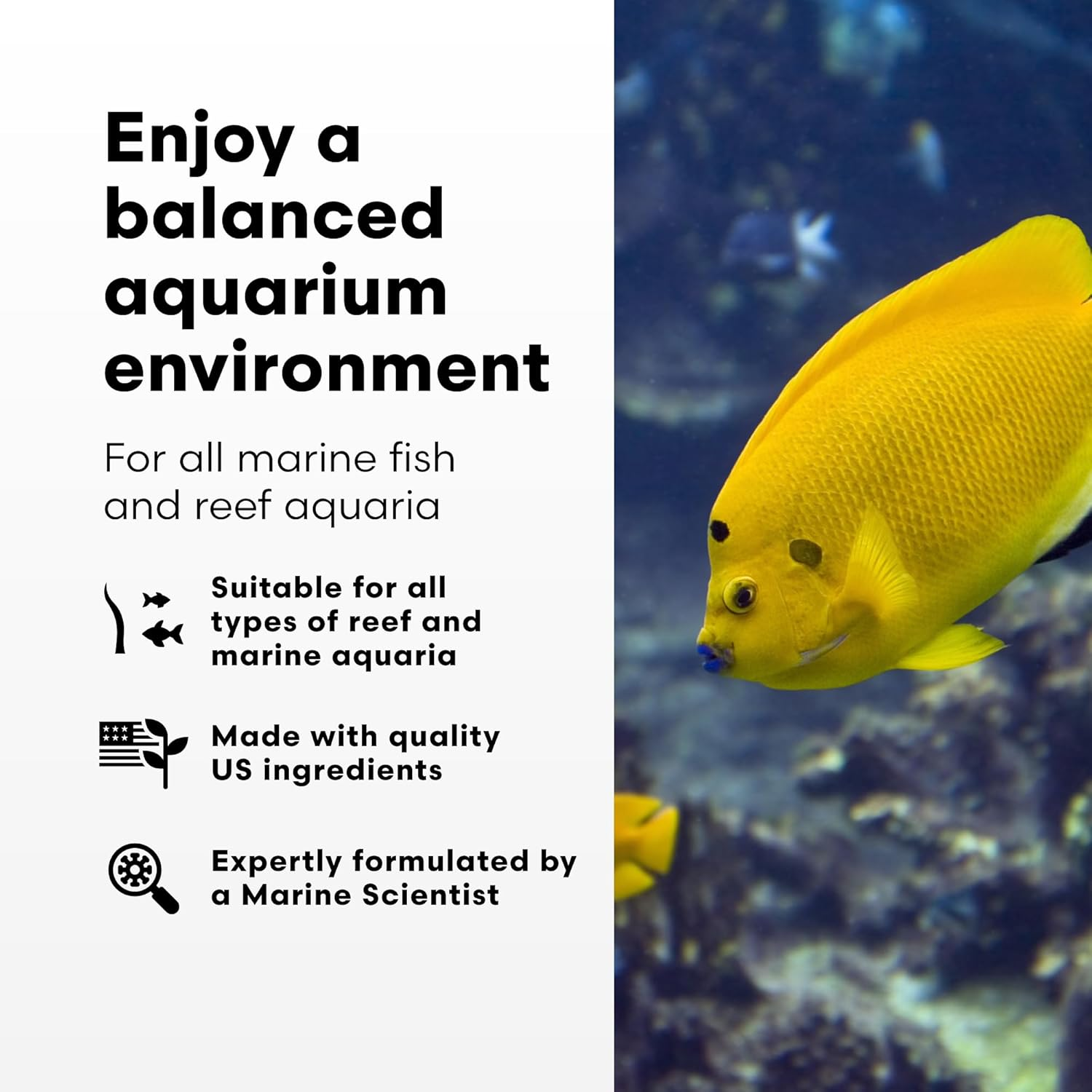 Brightwell Aquatics Alkalin8.3, Concentrated KH Buffer Supplement for All Marine Fish & Reef Aquaria, 250Ml image number 2