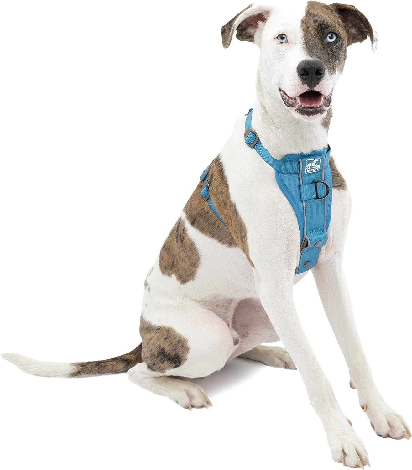 Kurgo Tru-Fit Smart Harness, Dog Harness, Pet Walking Harness, Quick Release Buckles, Front D-Ring for No Pull Training, Includes Dog Seat Belt Tether (Blue, Small)