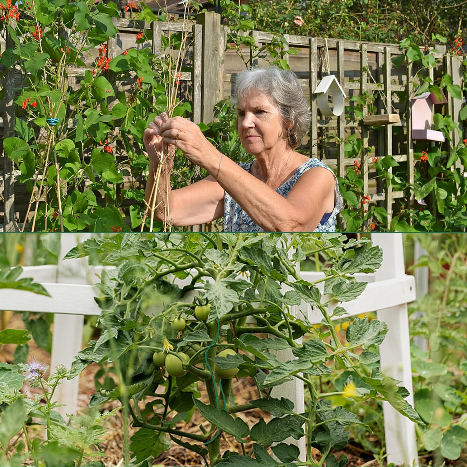 YDSL 100 Feet Soft Tie for Plants, 3 Pack Green Twist Garden Ties Gardening Supplies for Supporting Climbing Plants, Tomatoes, Vegetables, (Diameter - 2.5MM) image number 4