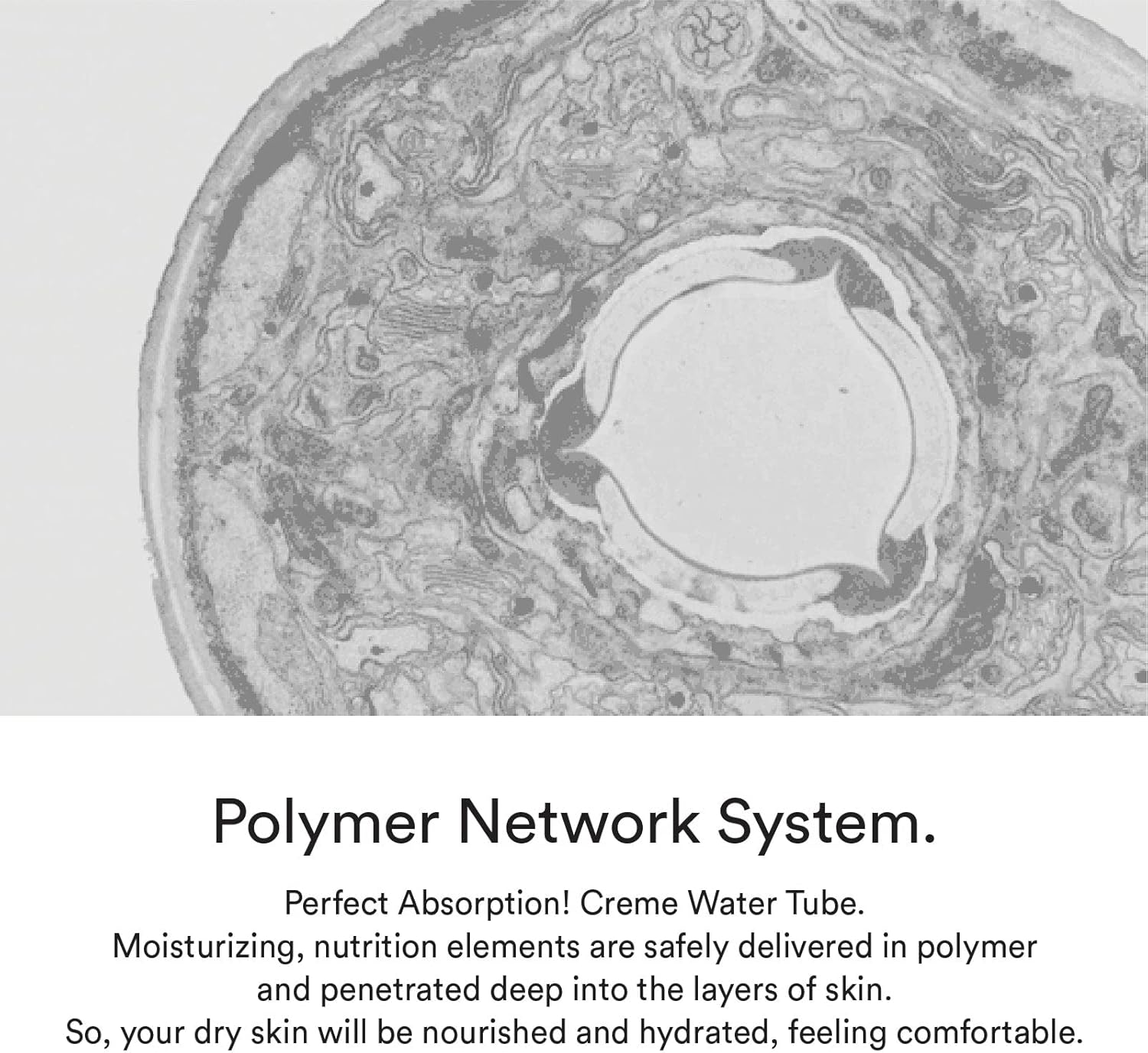 Abib Hydration Creme Water Tube 75 Ml image number 3